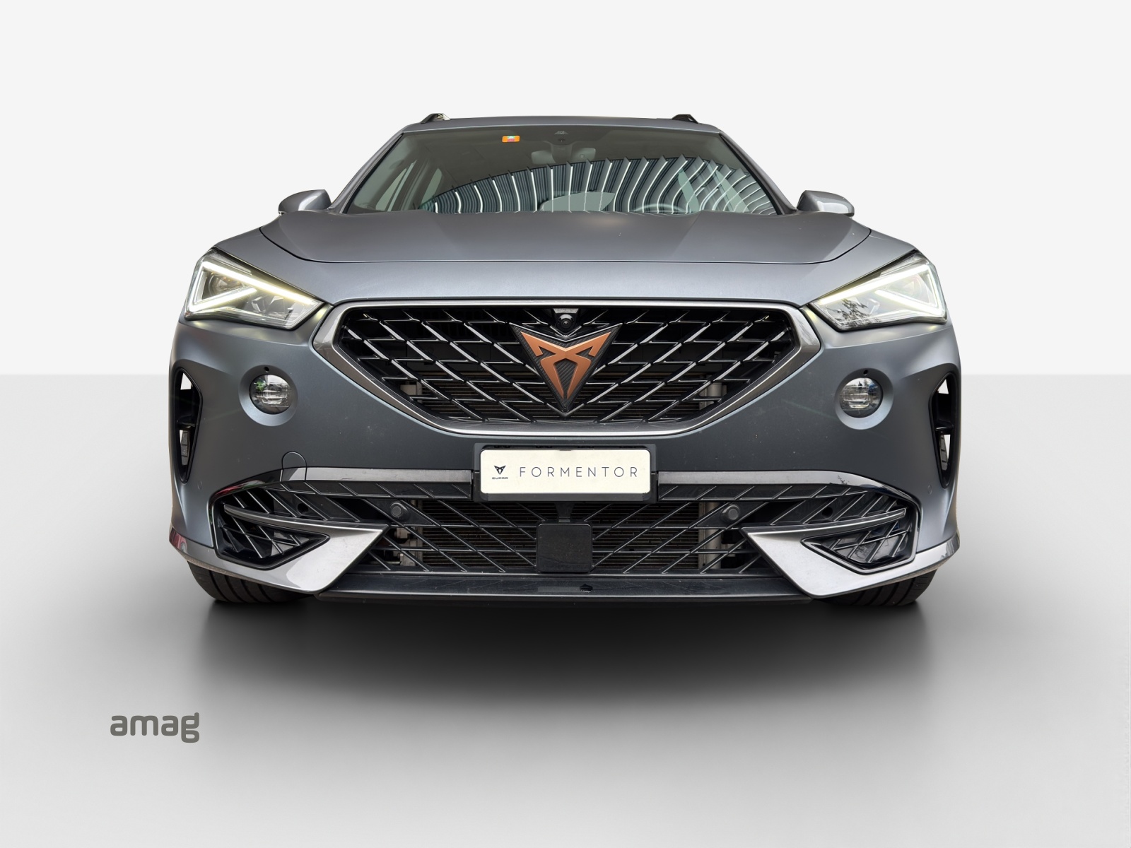 CUPRA Formentor 2.0TSI Tribe Edition 4Drive DSG-image-6
