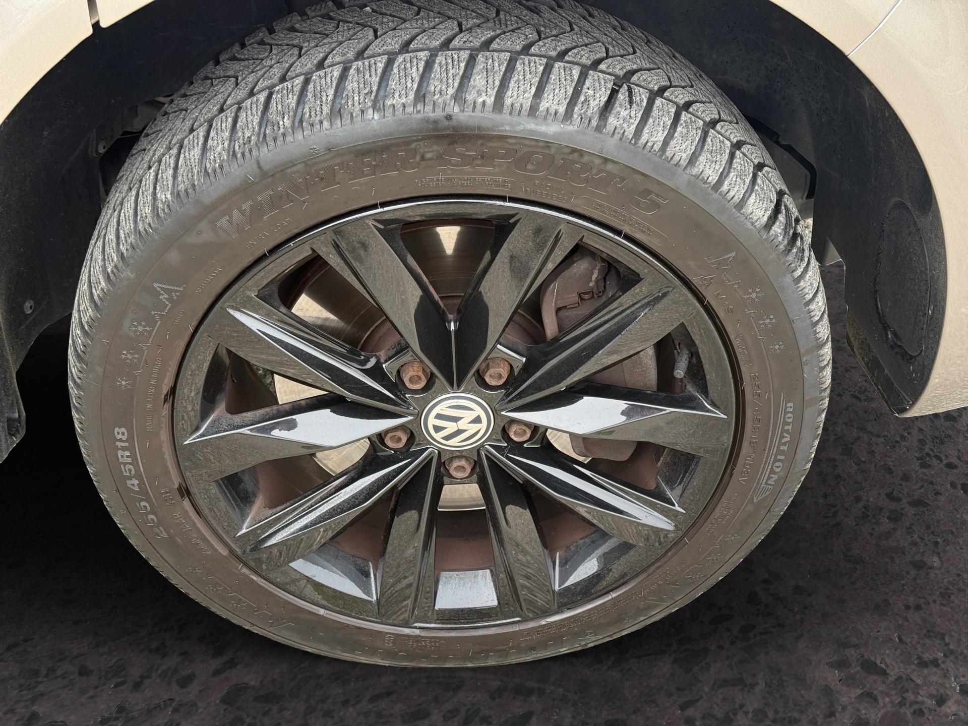 VW T6.1 California 2.0 TDI Ocean Bully-image-13