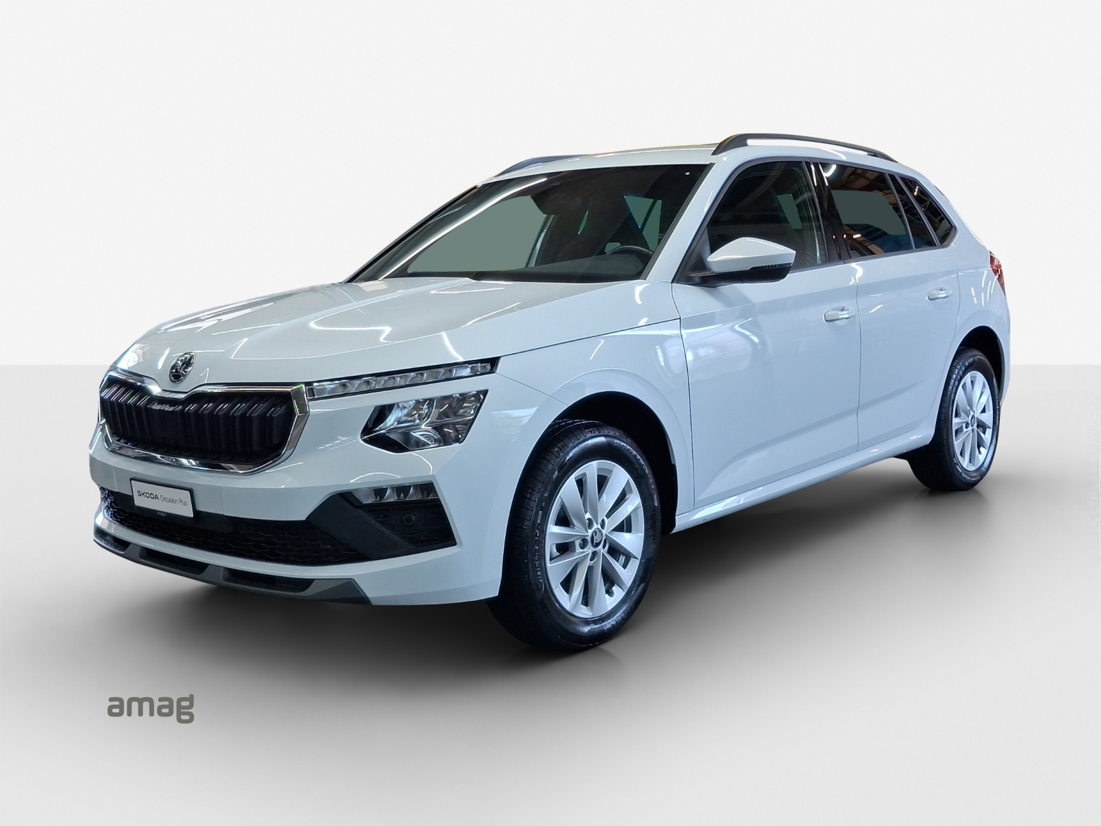SKODA Kamiq 1.0 TSI Selection DSG-image-0