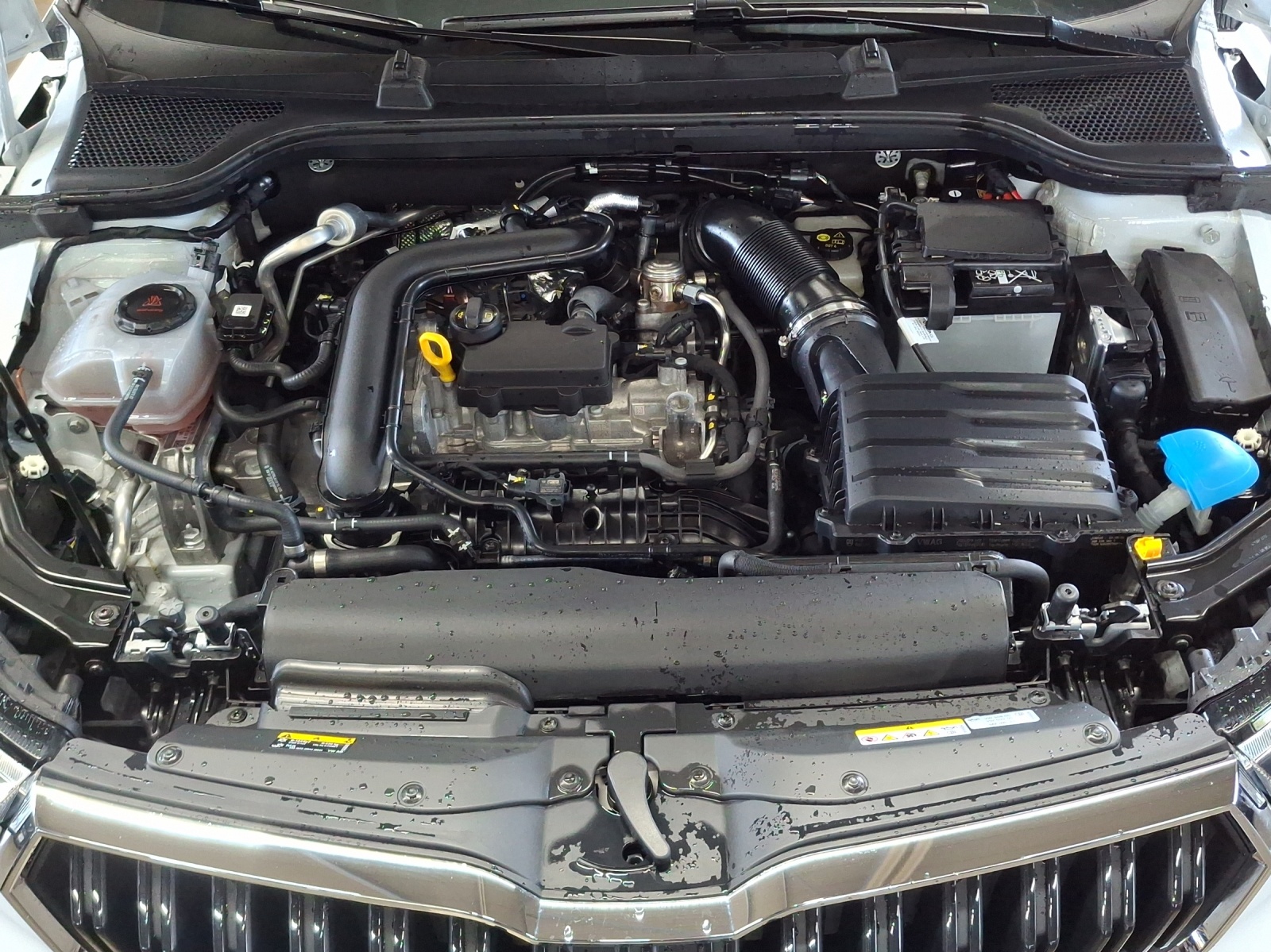 SKODA Kamiq 1.0 TSI Selection DSG-image-13