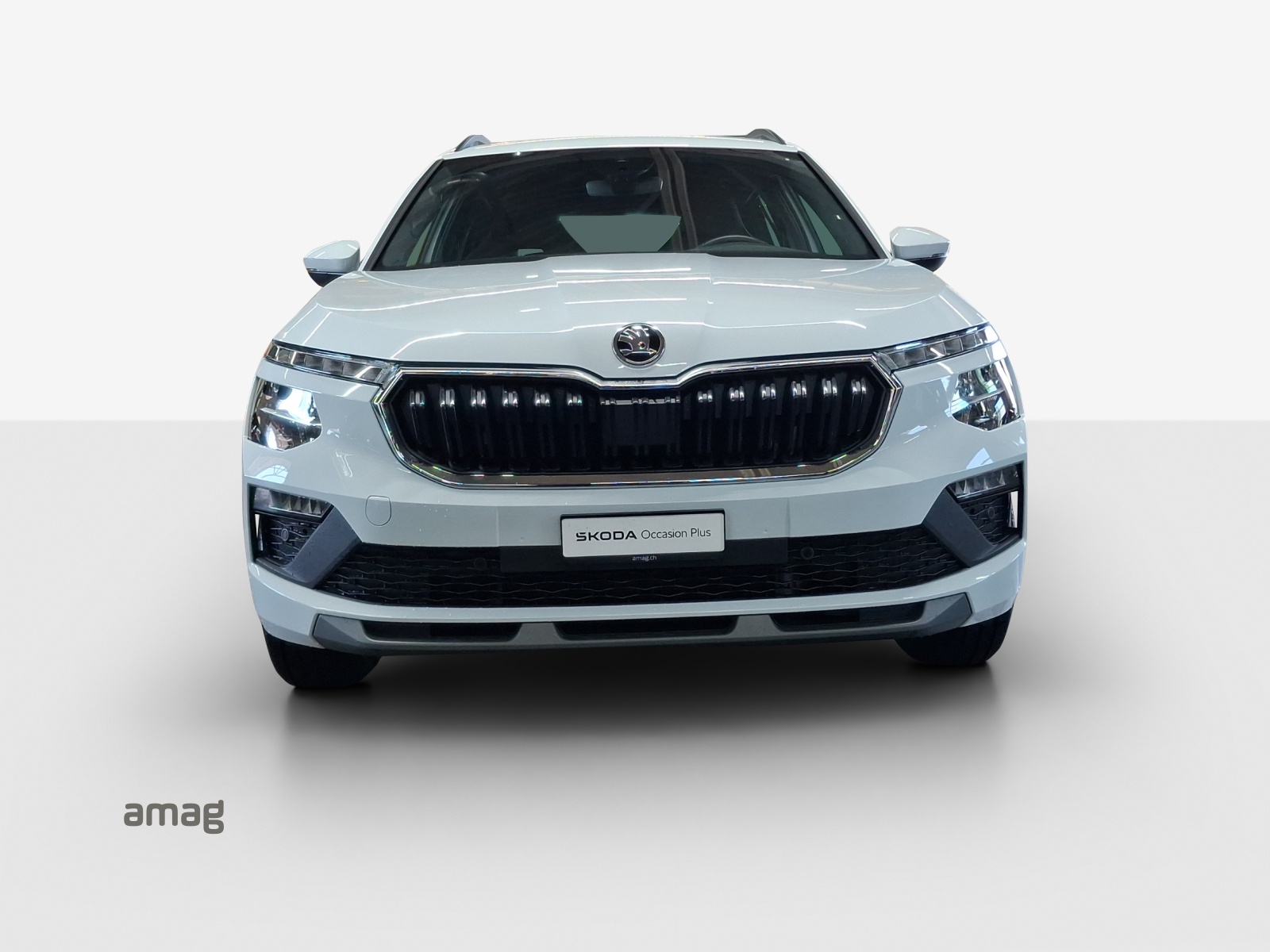 SKODA Kamiq 1.0 TSI Selection DSG-image-6