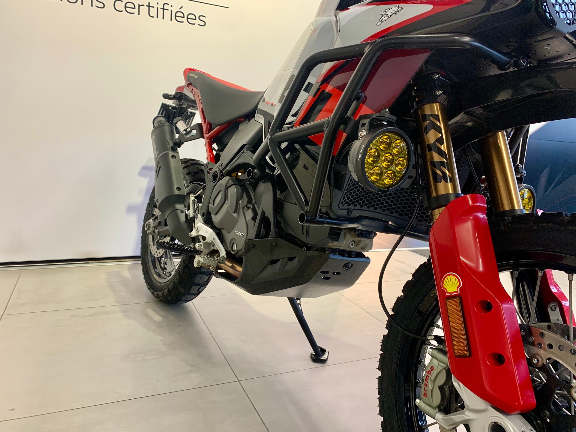 DUCATI Desert X Rally-image-6