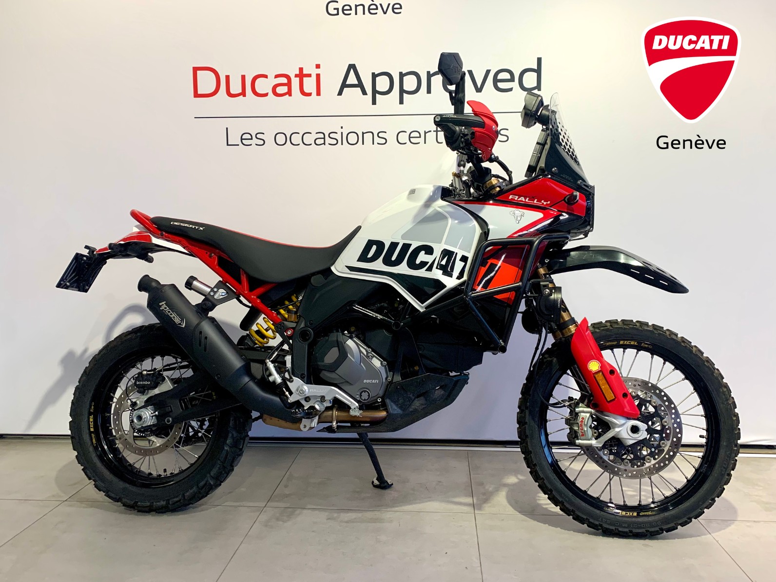 DUCATI Desert X Rally