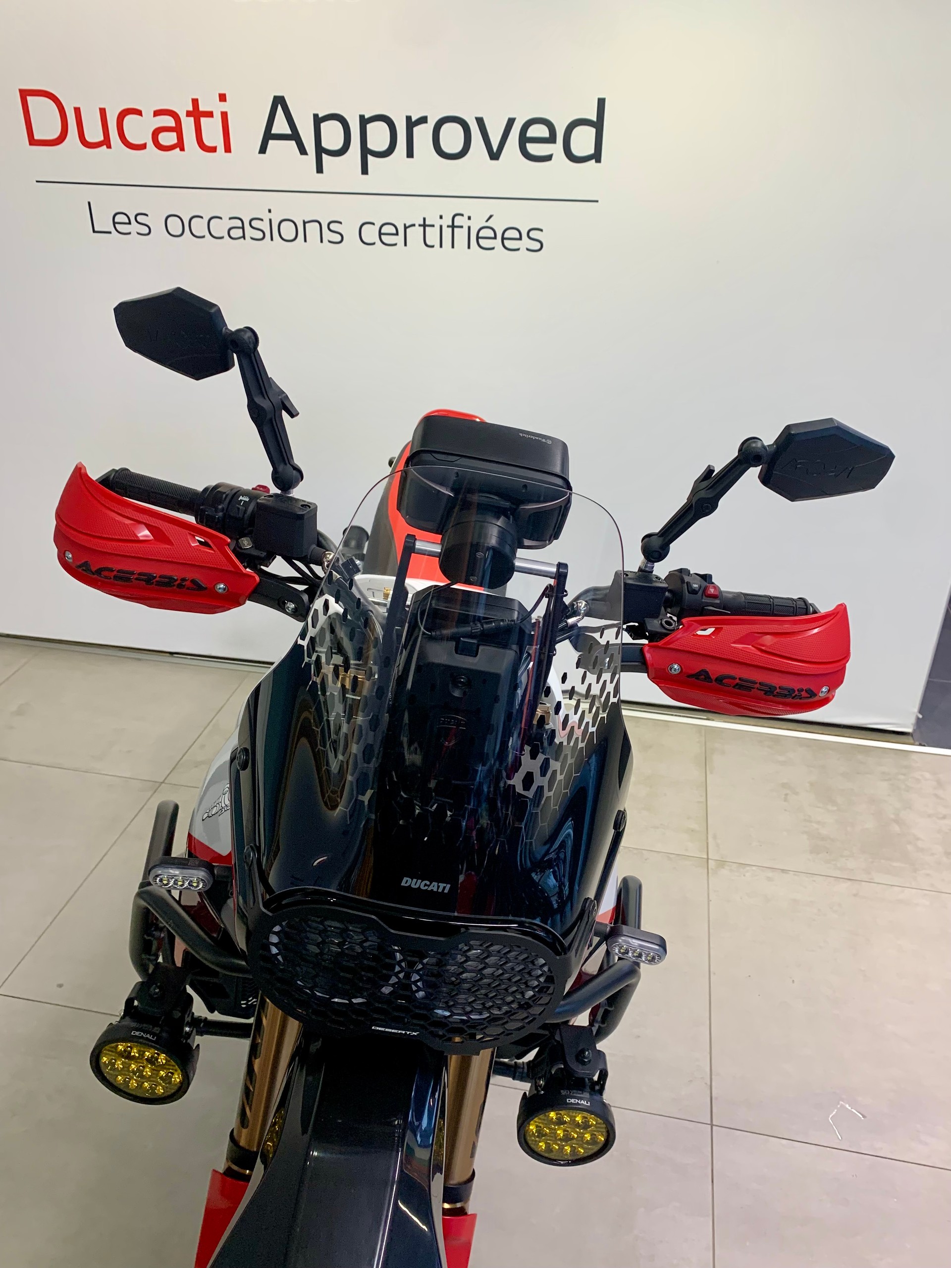 DUCATI Desert X Rally-image-13