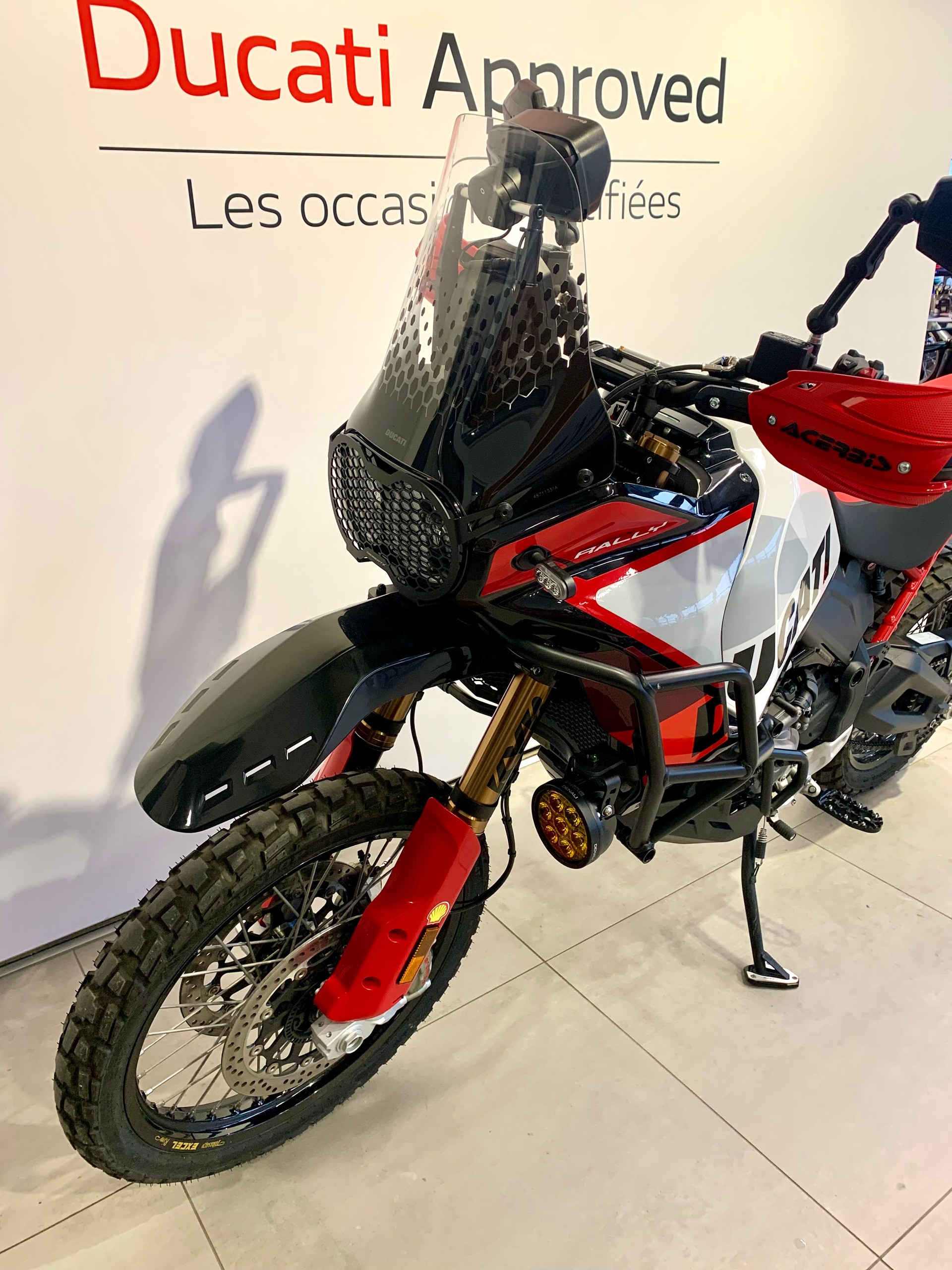 DUCATI Desert X Rally-image-4