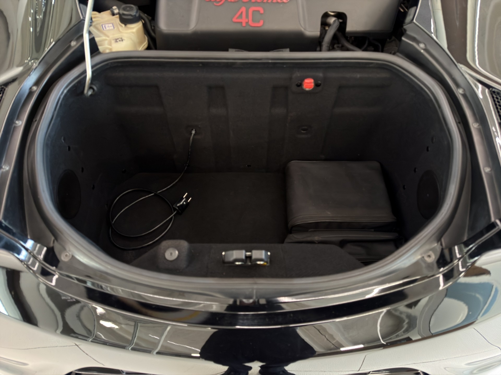 ALFA ROMEO 4C 1750 TBi TCT-image-19