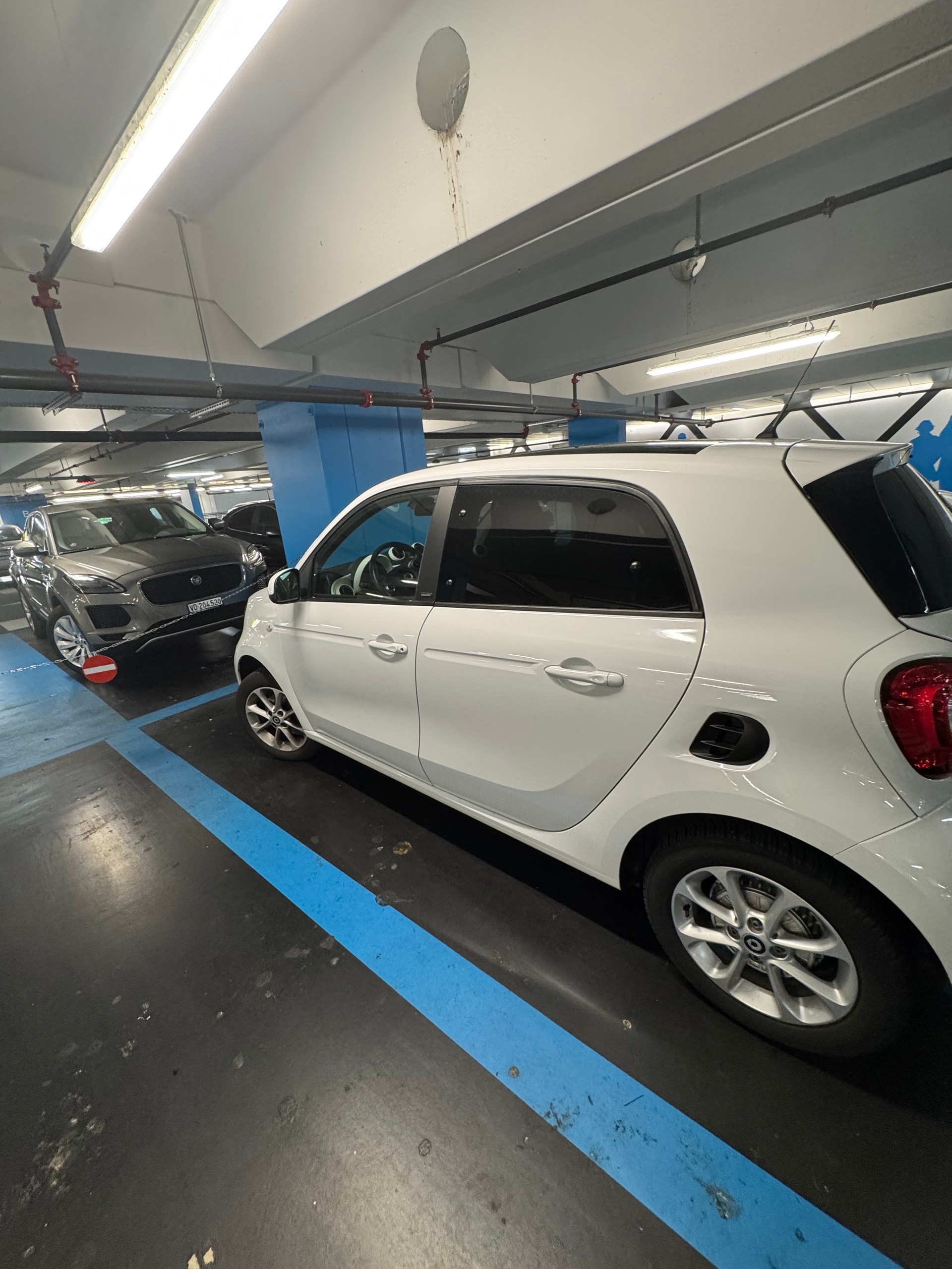 SMART 1.0 71 Passion twinamic