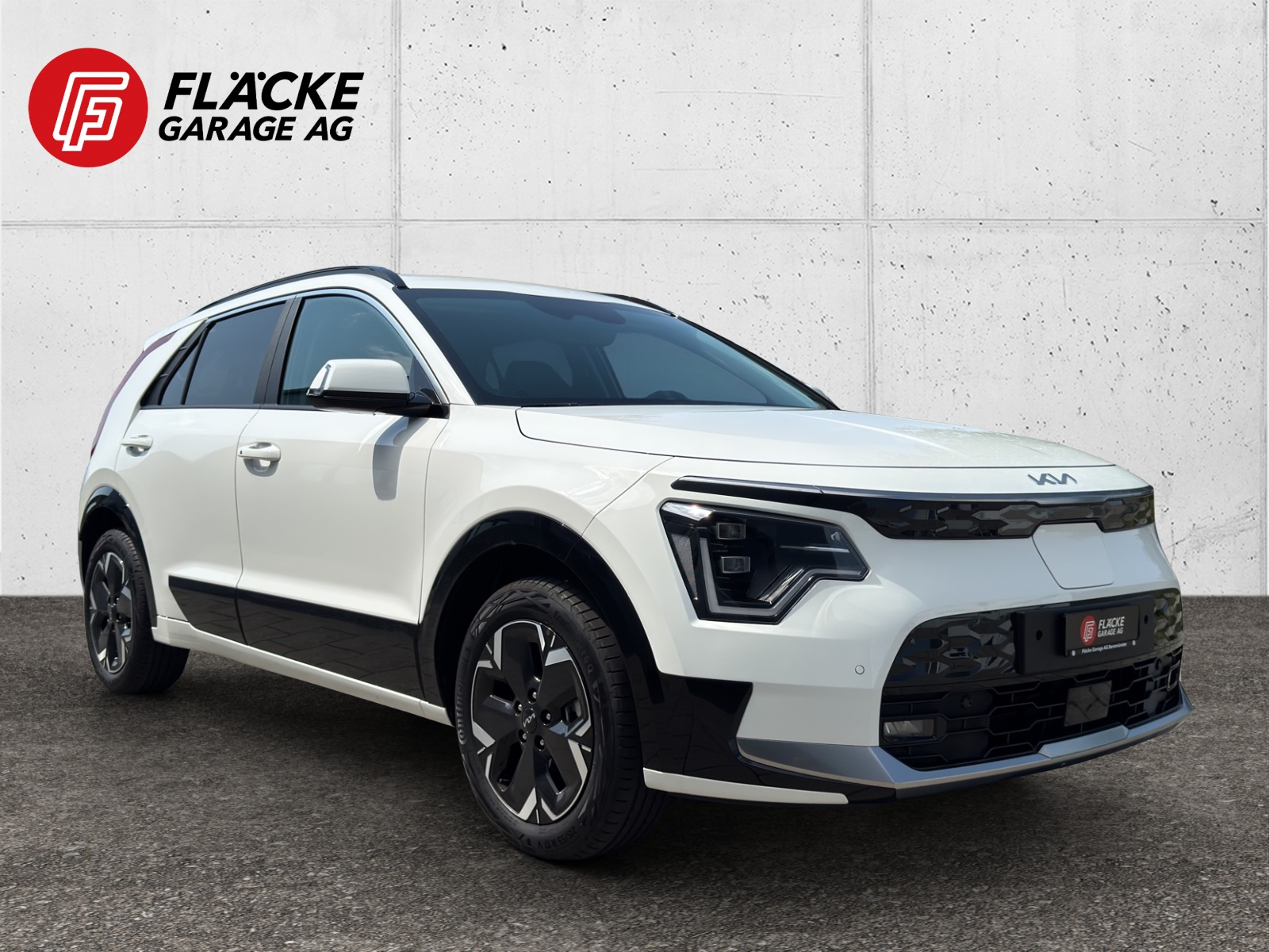 KIA Niro EV 64,8 kWh Style-image-5