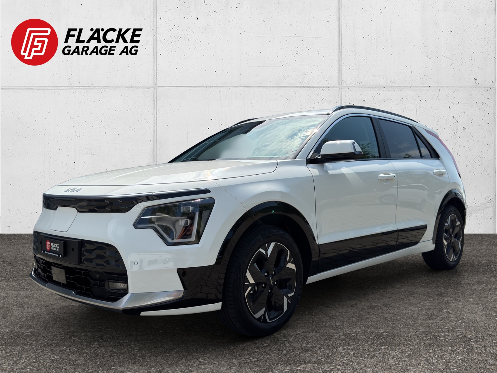 KIA Niro EV 64,8 kWh Style-image-0