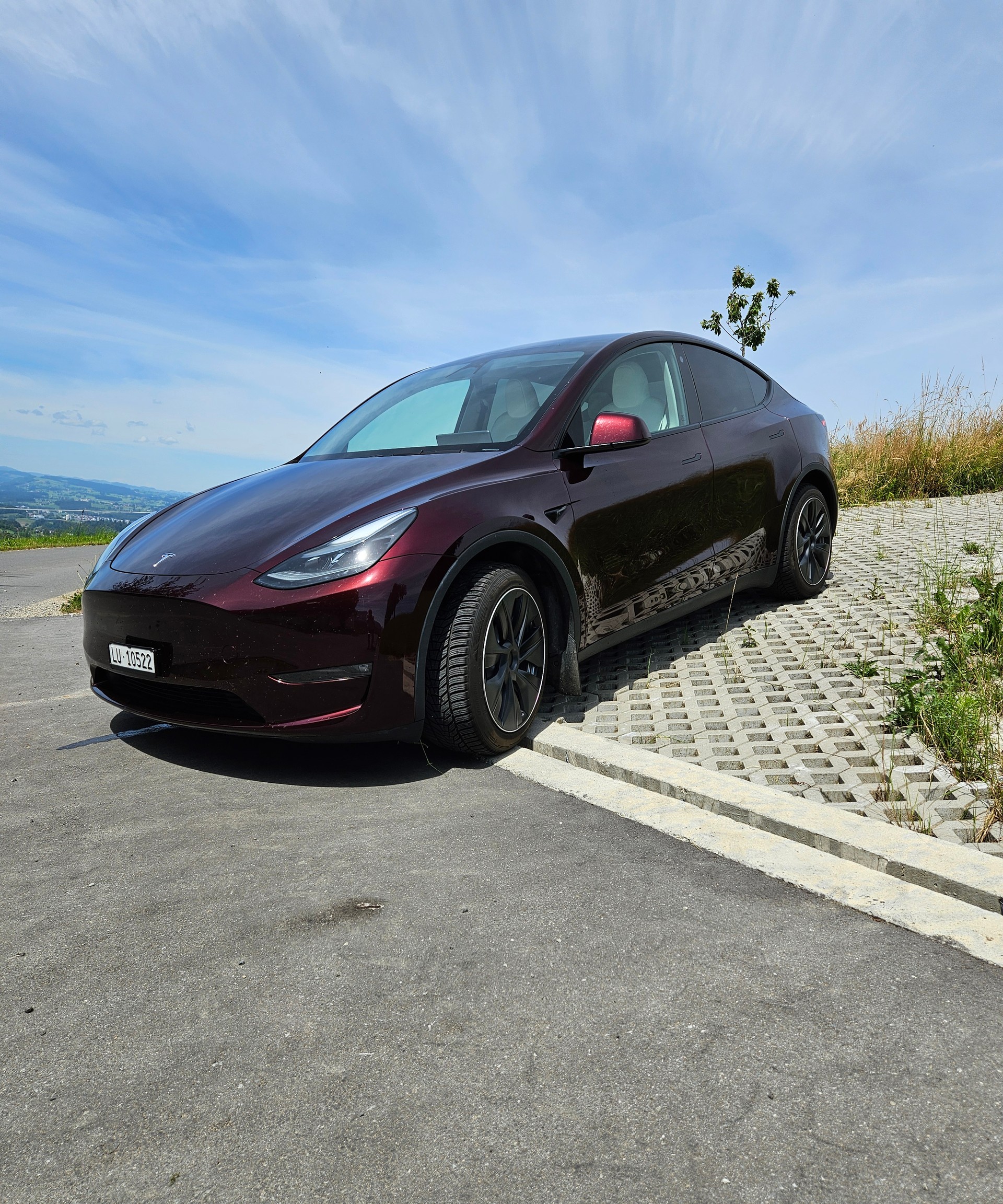 TESLA Long Range D-image-0