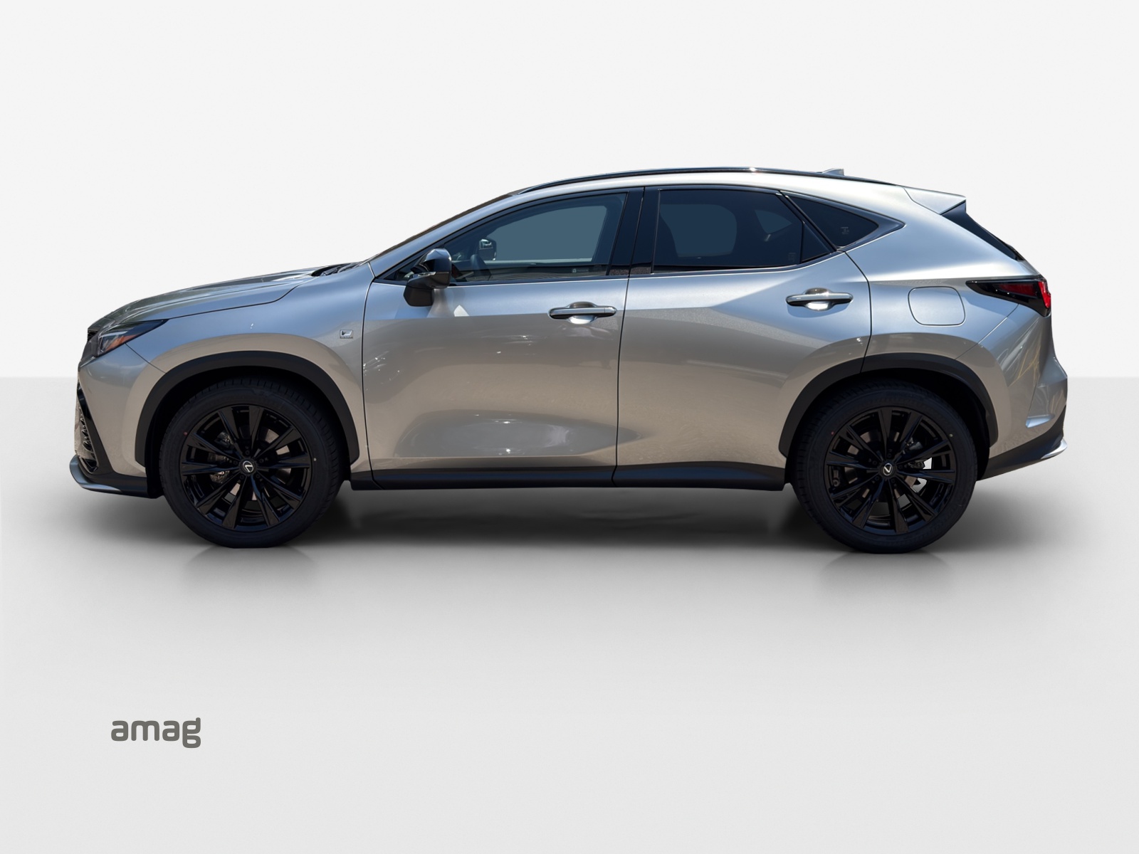 LEXUS NX 350h E-FOUR F Sport-showroom-element-1