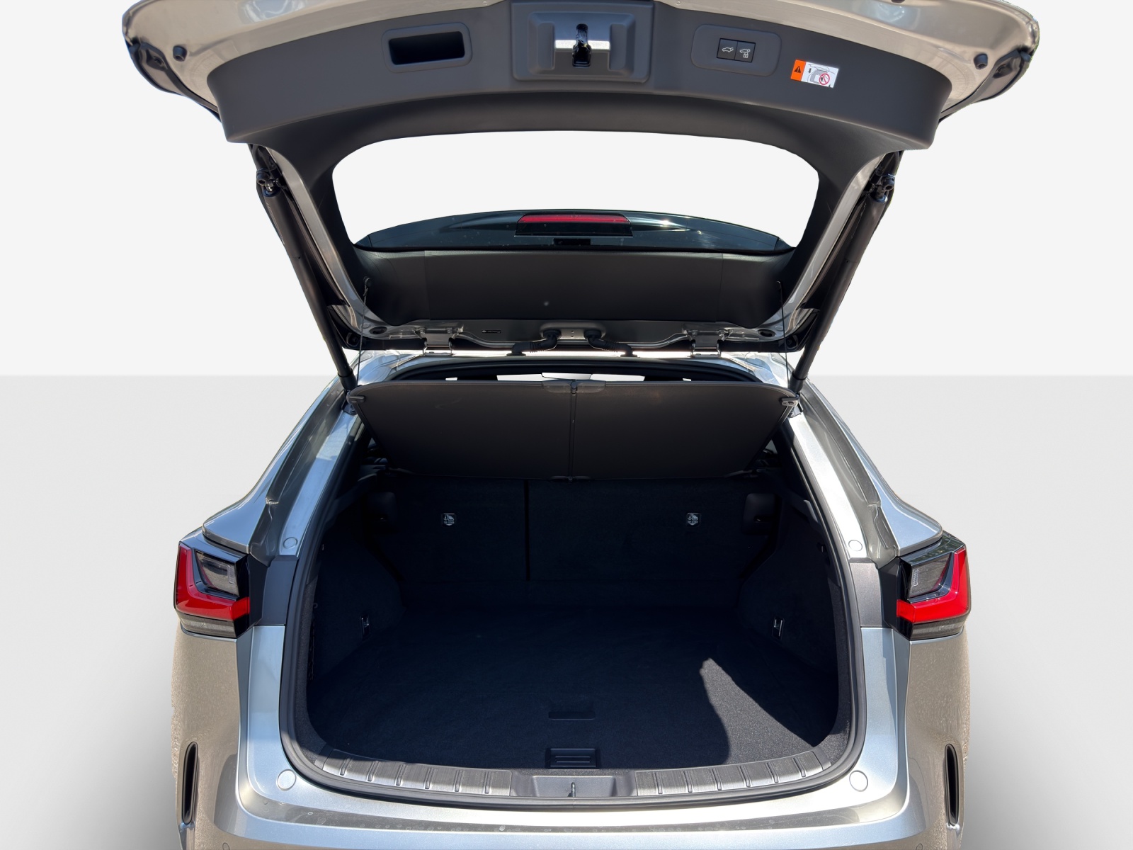 LEXUS NX 350h E-FOUR F Sport-image-12