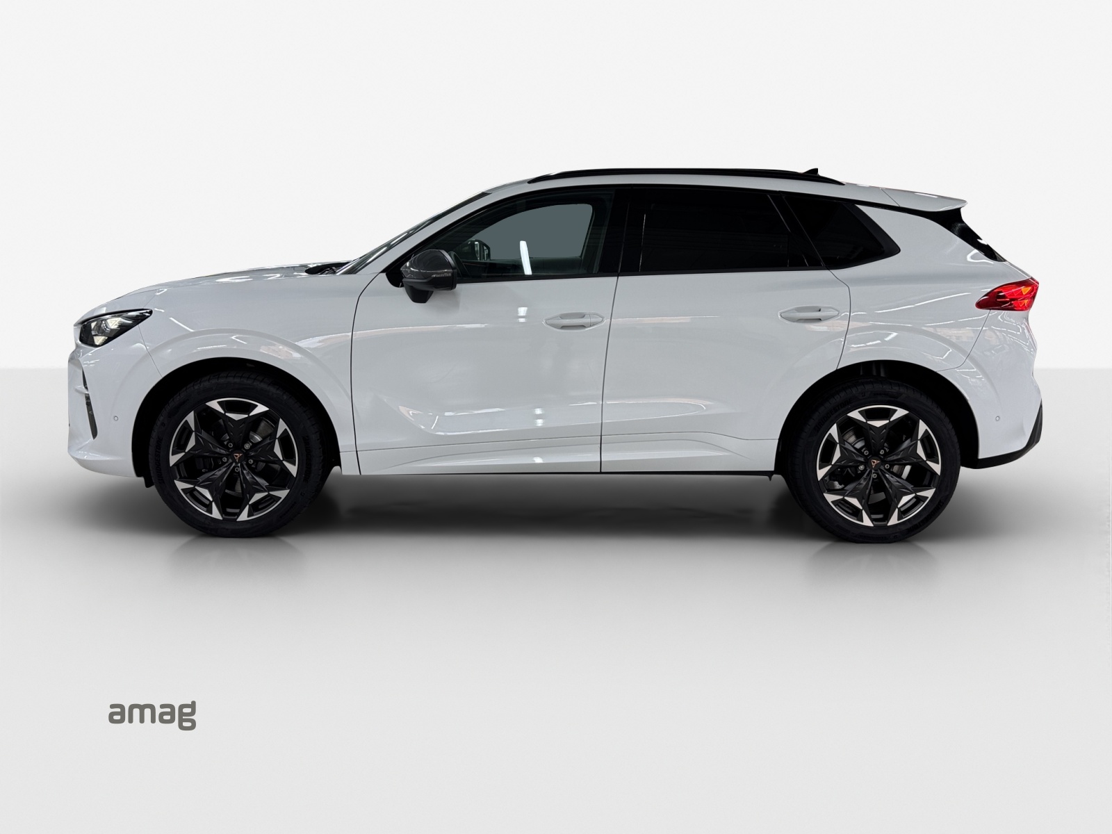 CUPRA Terramar 2.0 TSI DSG 4Drive VZ-image-1