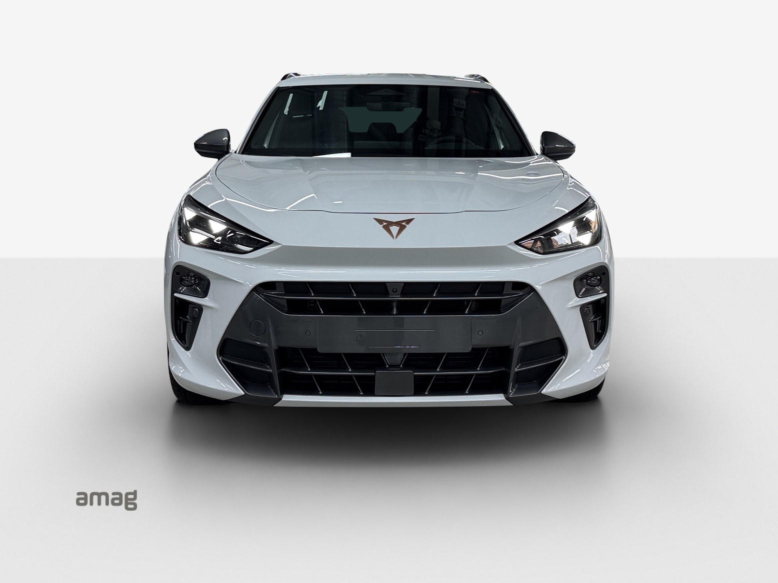 CUPRA Terramar 2.0 TSI DSG 4Drive VZ-image-6