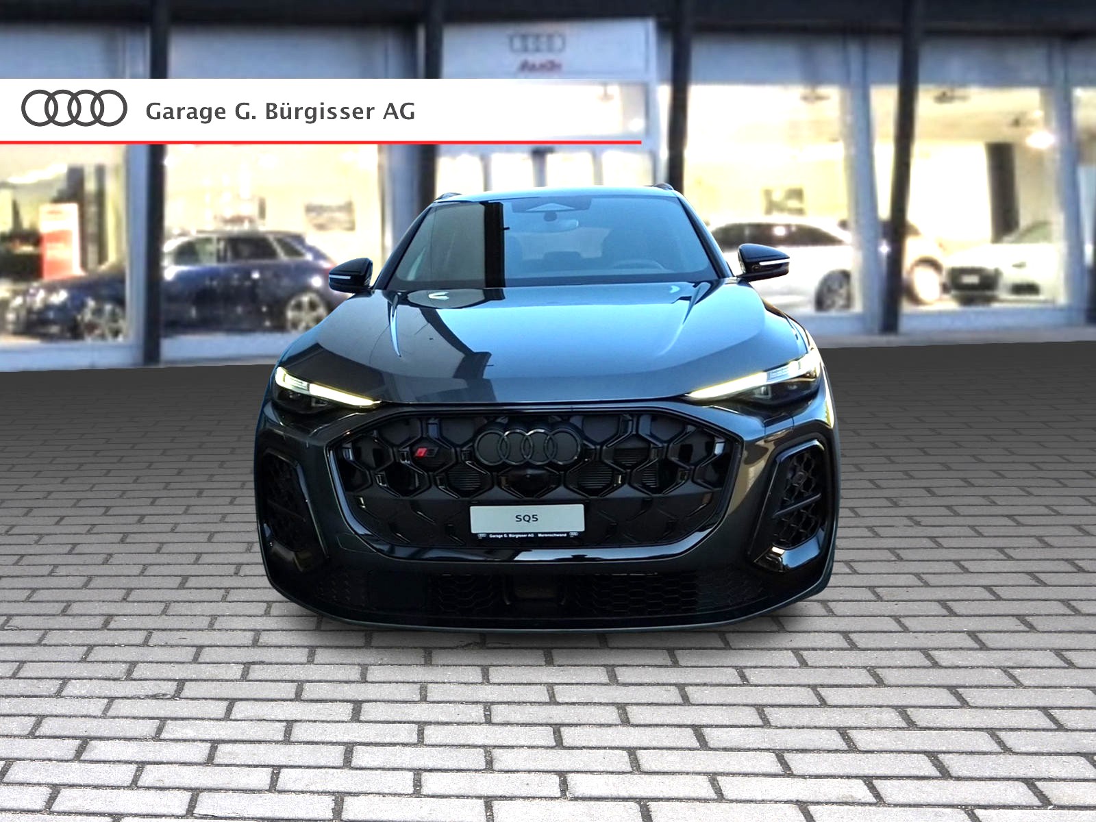AUDI SQ5 TFSI quattro S-tronic Daytonagrau Perleffekt-showroom-element-1