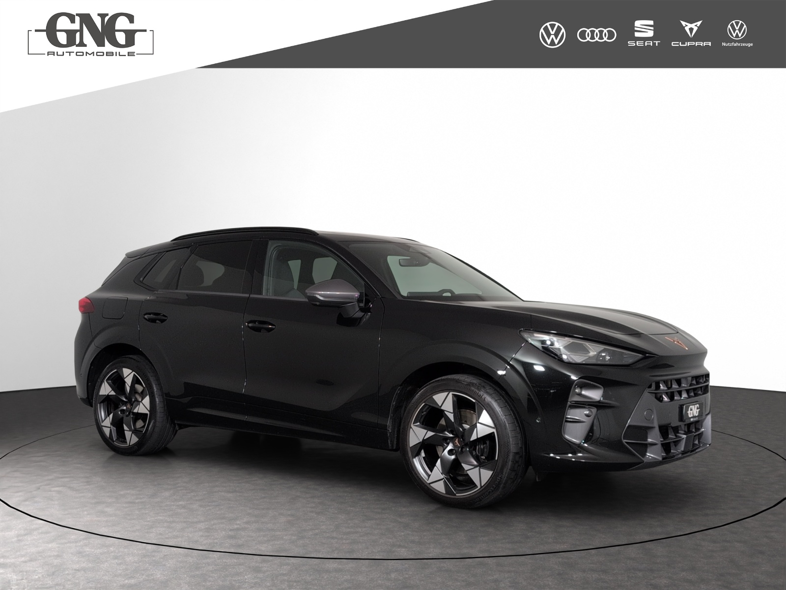 CUPRA Terramar 2.0 TSI DSG 4Drive VZ-image-3