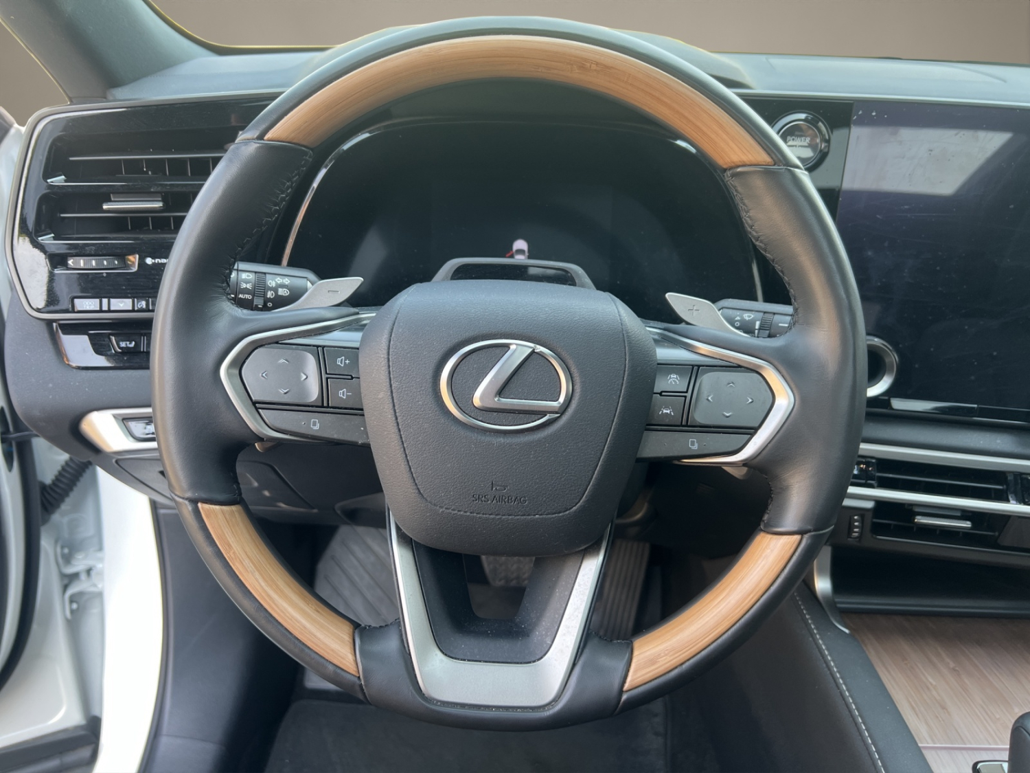 LEXUS RX 450h+ Excellence-image-12