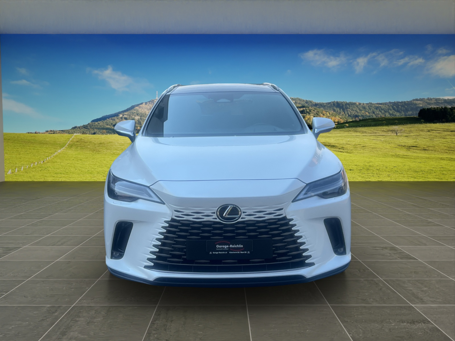 LEXUS RX 450h+ Excellence-image-7