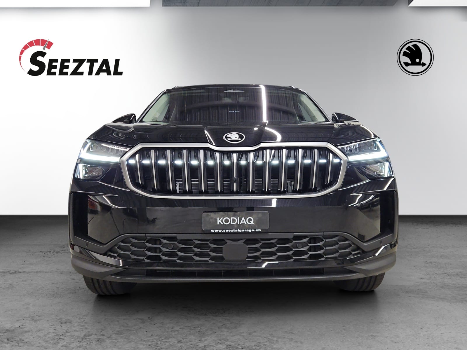 SKODA Skoda Kodiaq 2.0 TSI 4x4 Dynamic-image-2