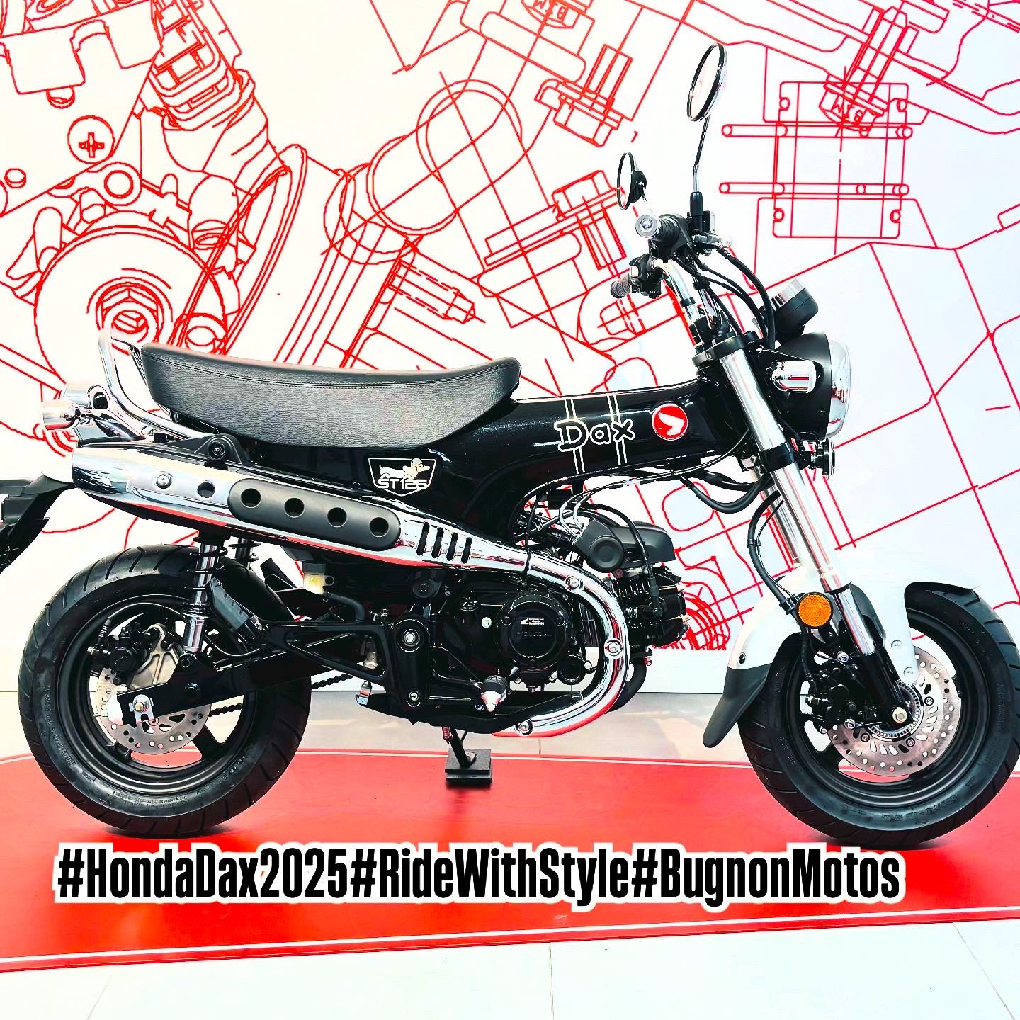 HONDA DAX