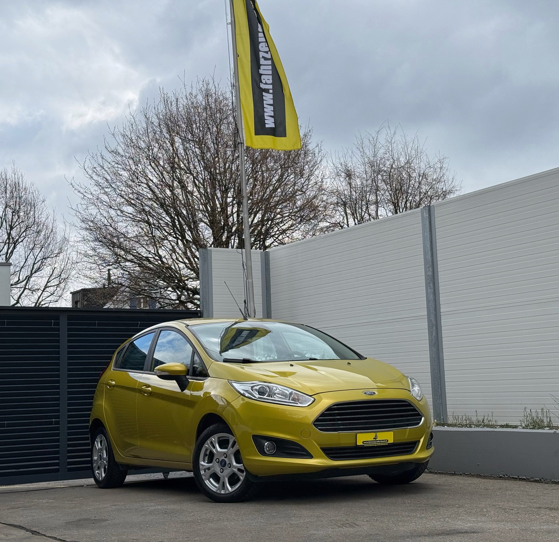 FORD Fiesta 1.0 SCTi Titanium (Frisch Ab MFK)