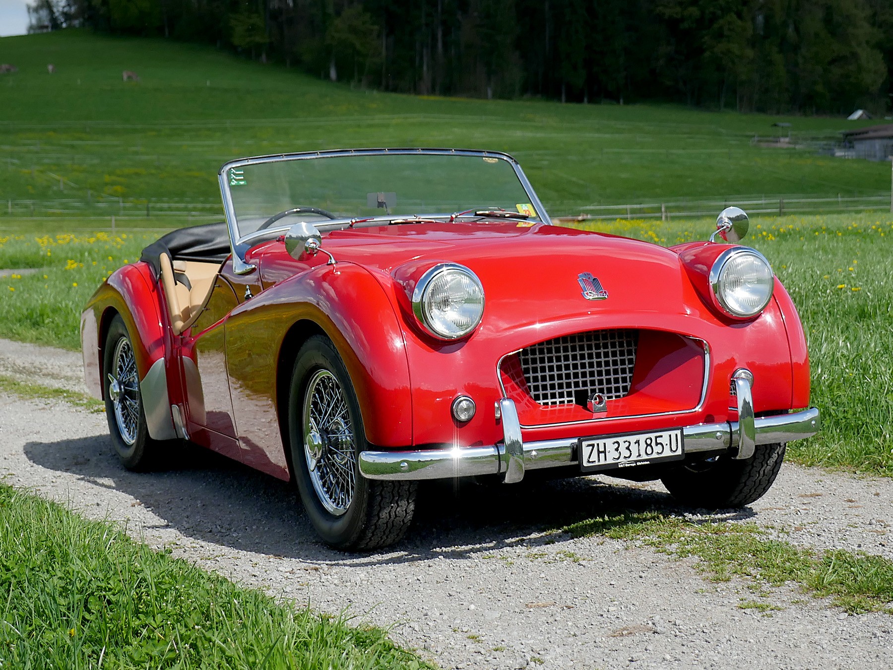 TRIUMPH TR2-image-3