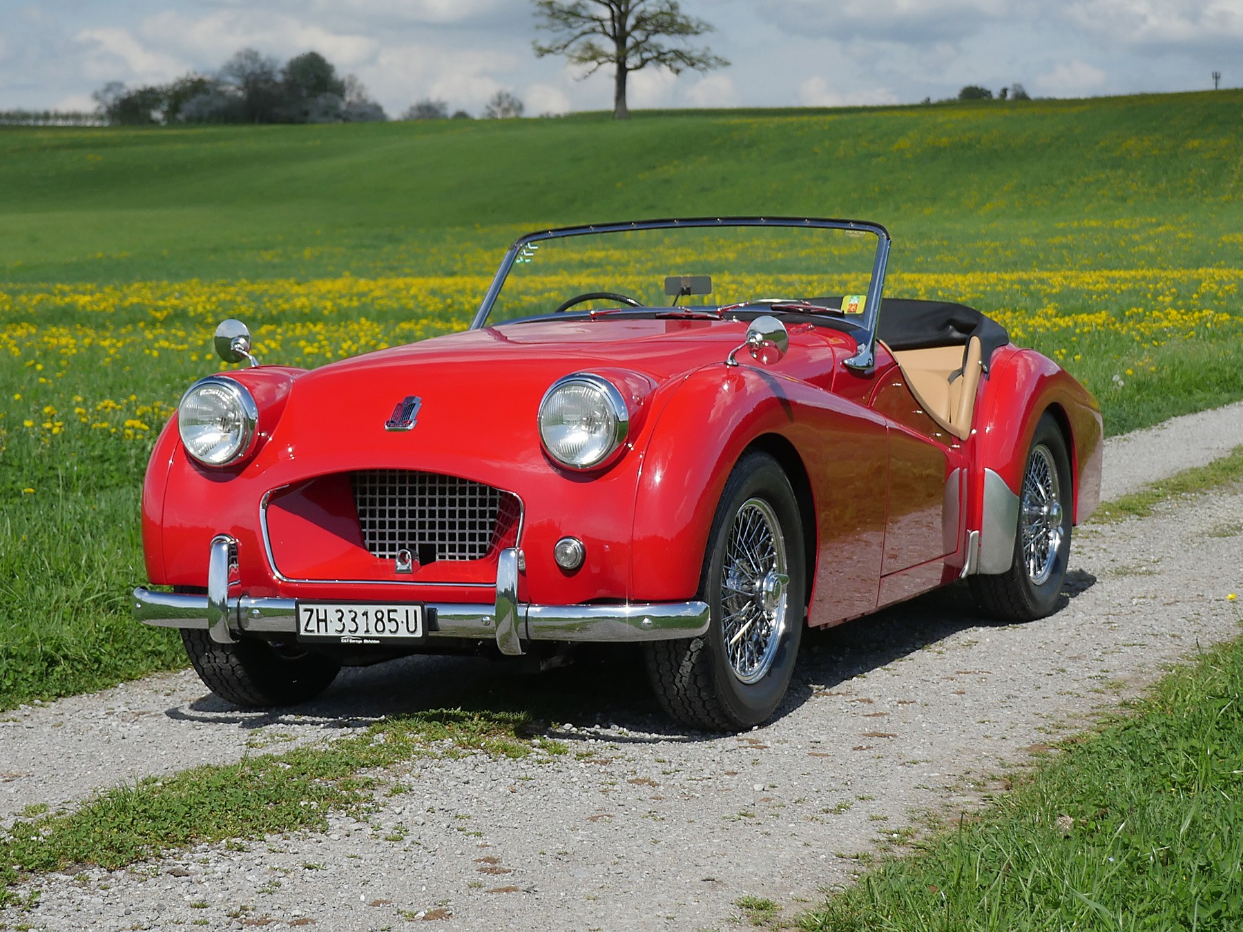 TRIUMPH TR2-image-1