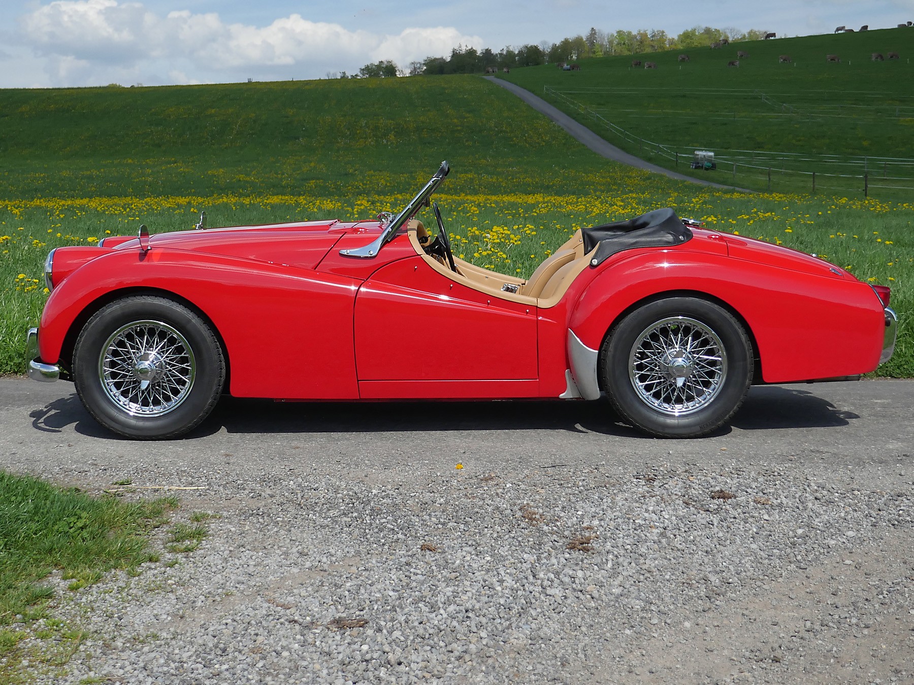 TRIUMPH TR2