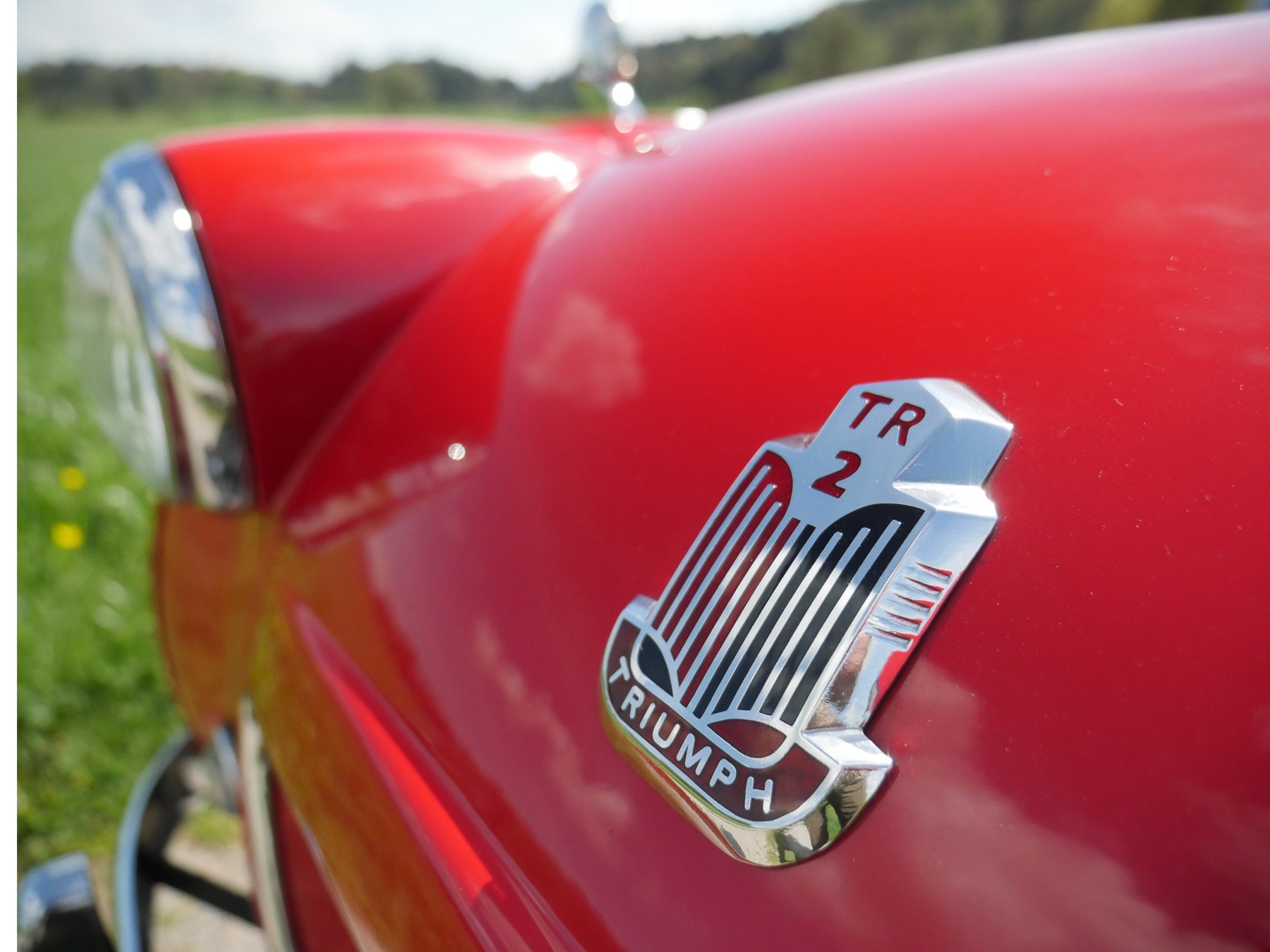 TRIUMPH TR2-image-13