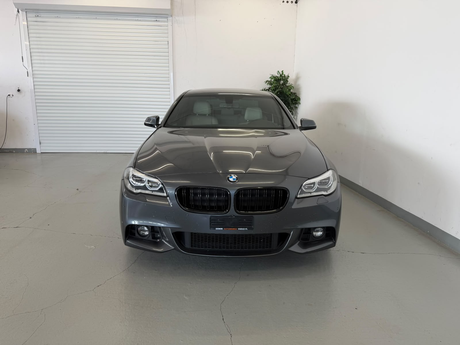 BMW 520d xDrive Luxury Line Steptronic-image-2