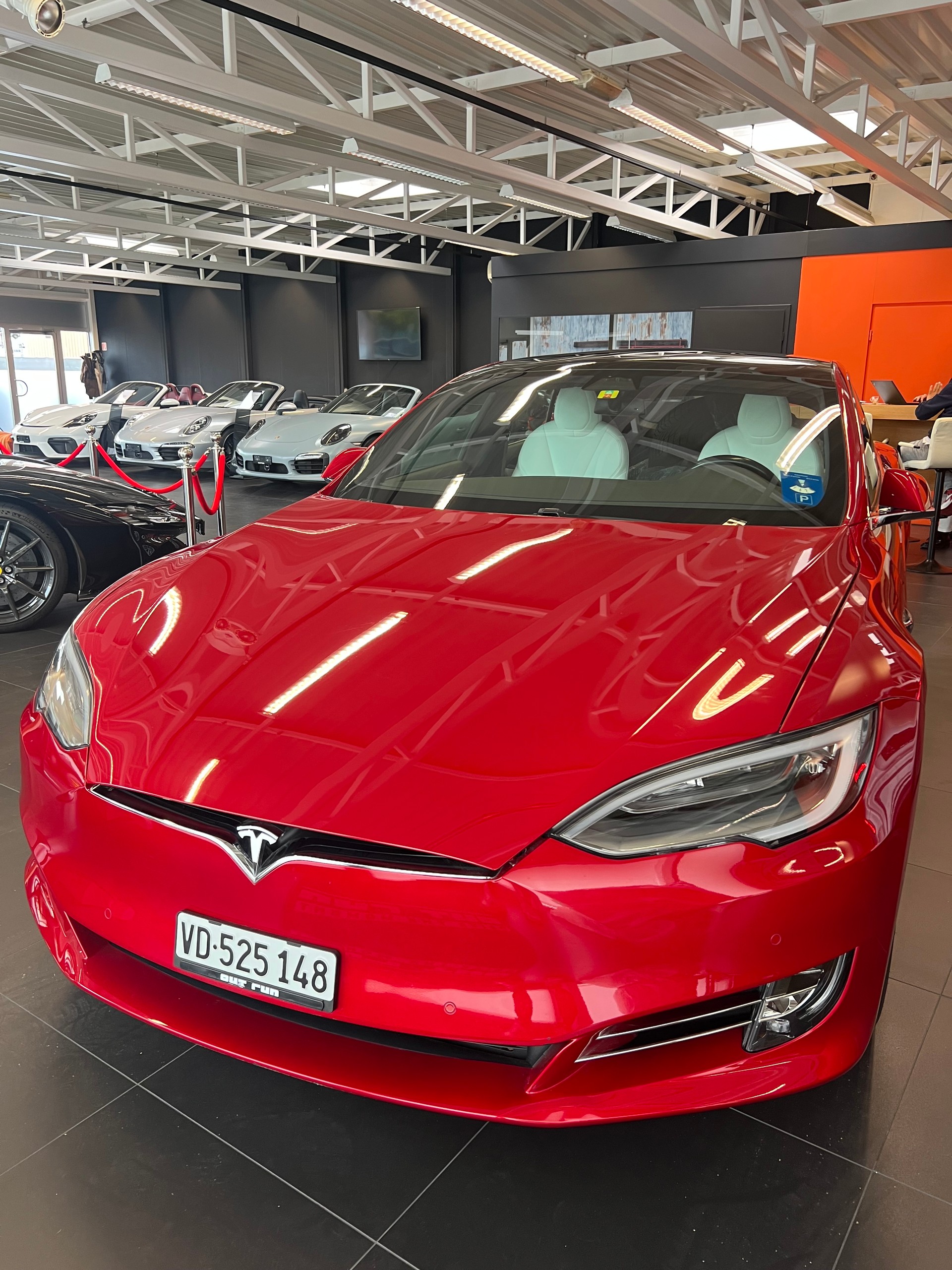 TESLA Raven Long Range FSD – Maximale Reichweite – 2021-image-0