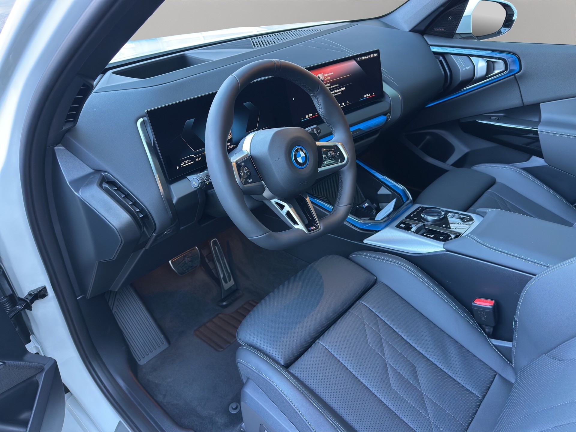 BMW X3 xDrive 30e M Sport Pro-image-9