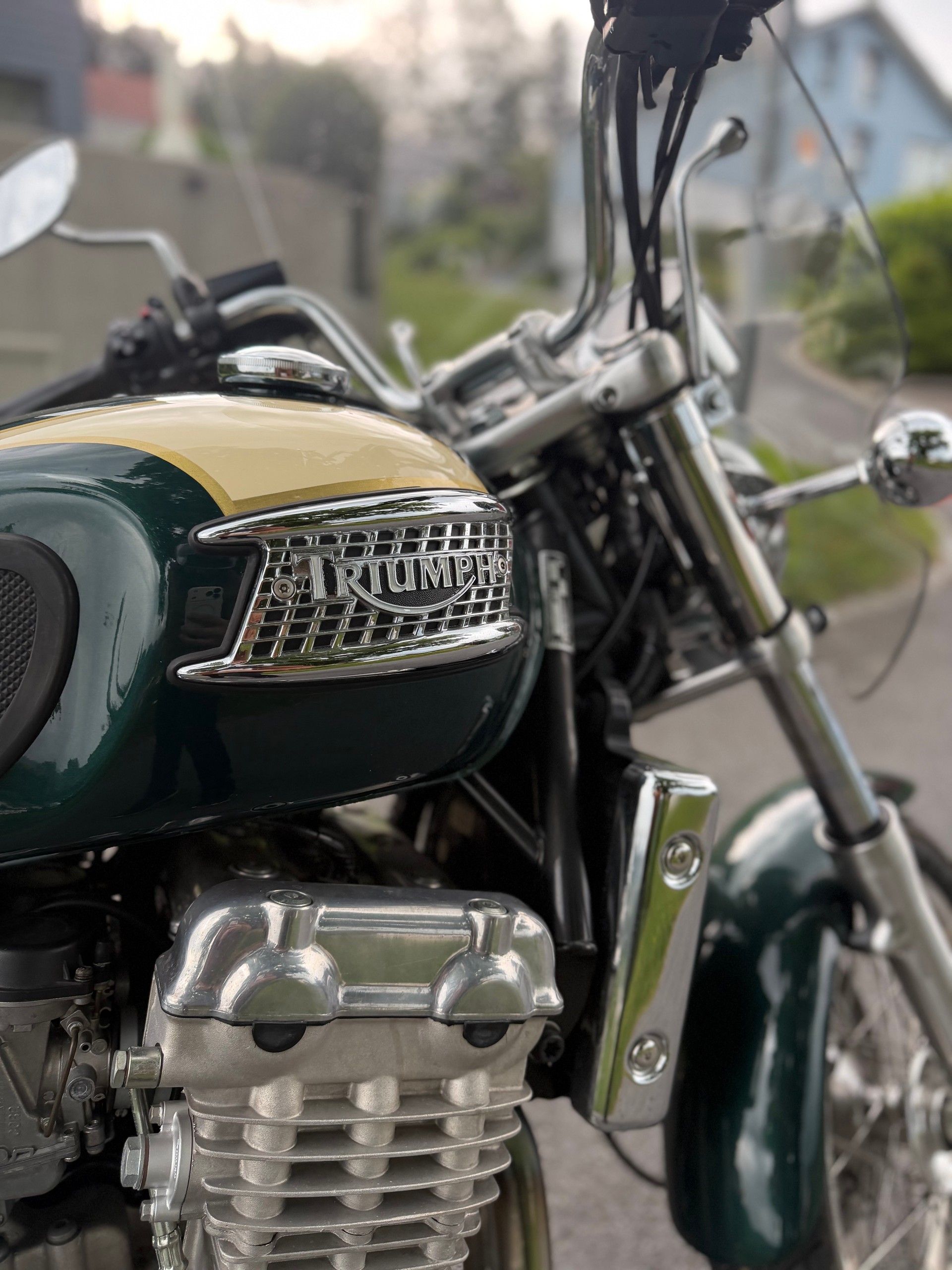 TRIUMPH Thunderbird 900-image-5