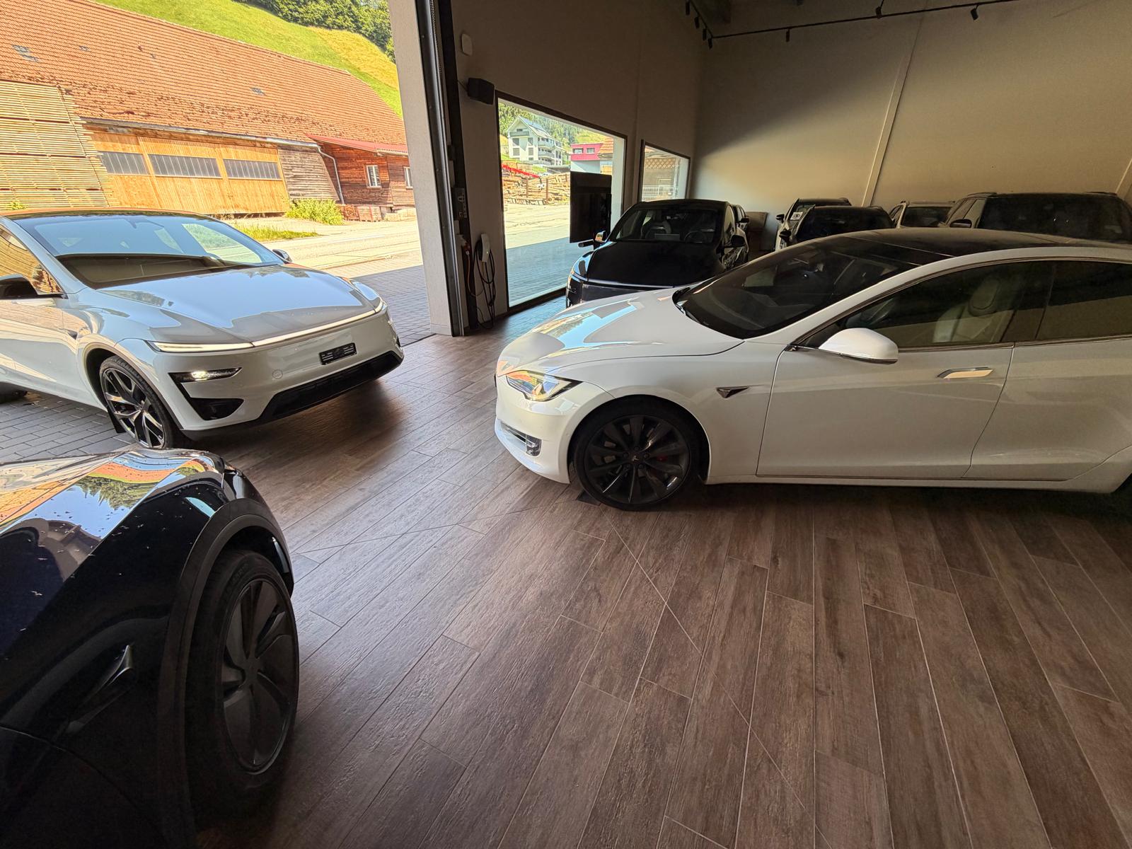 TESLA Model S 100 D Performance-image-5