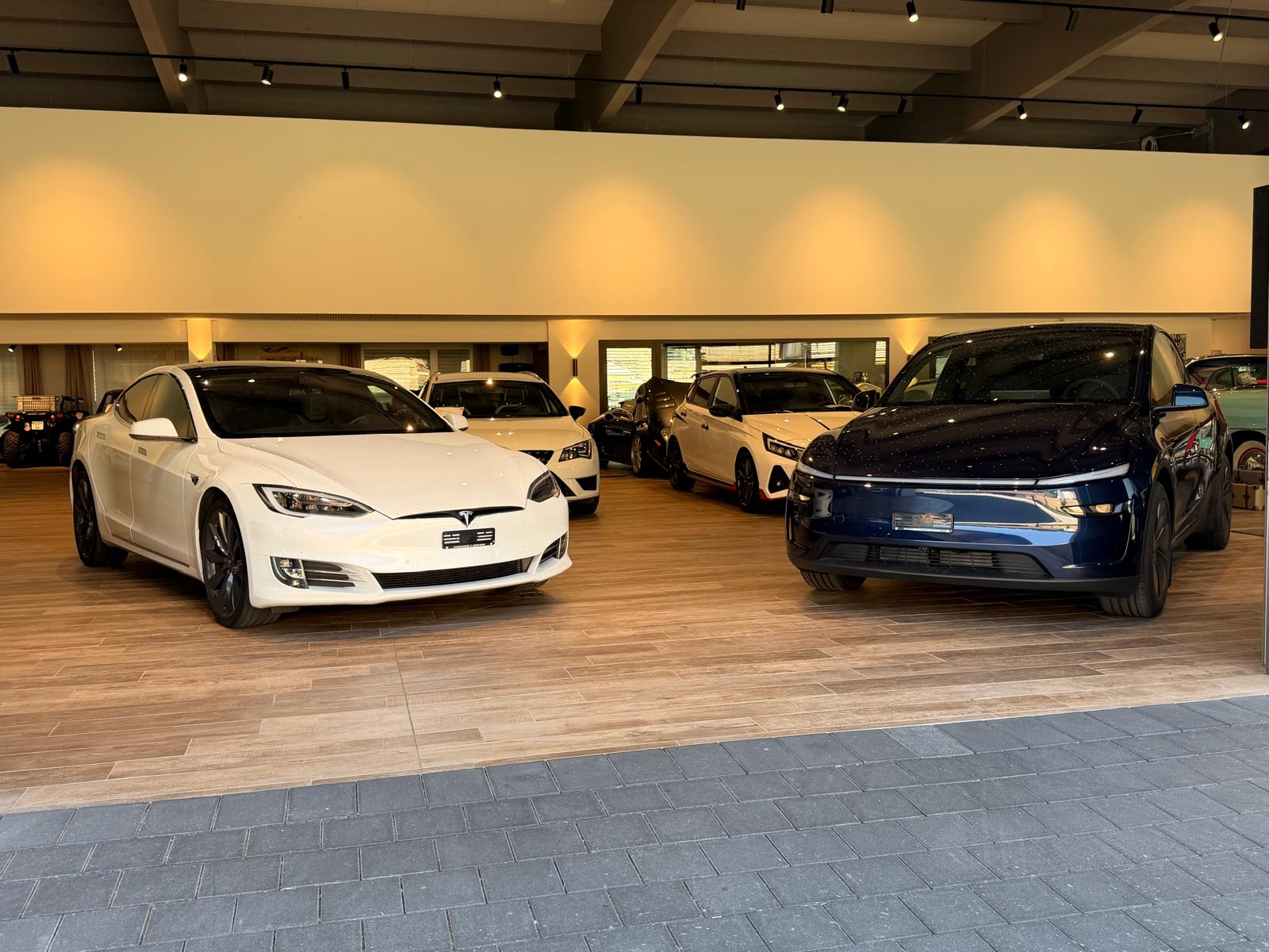 TESLA Model S 100 D Performance-image-4