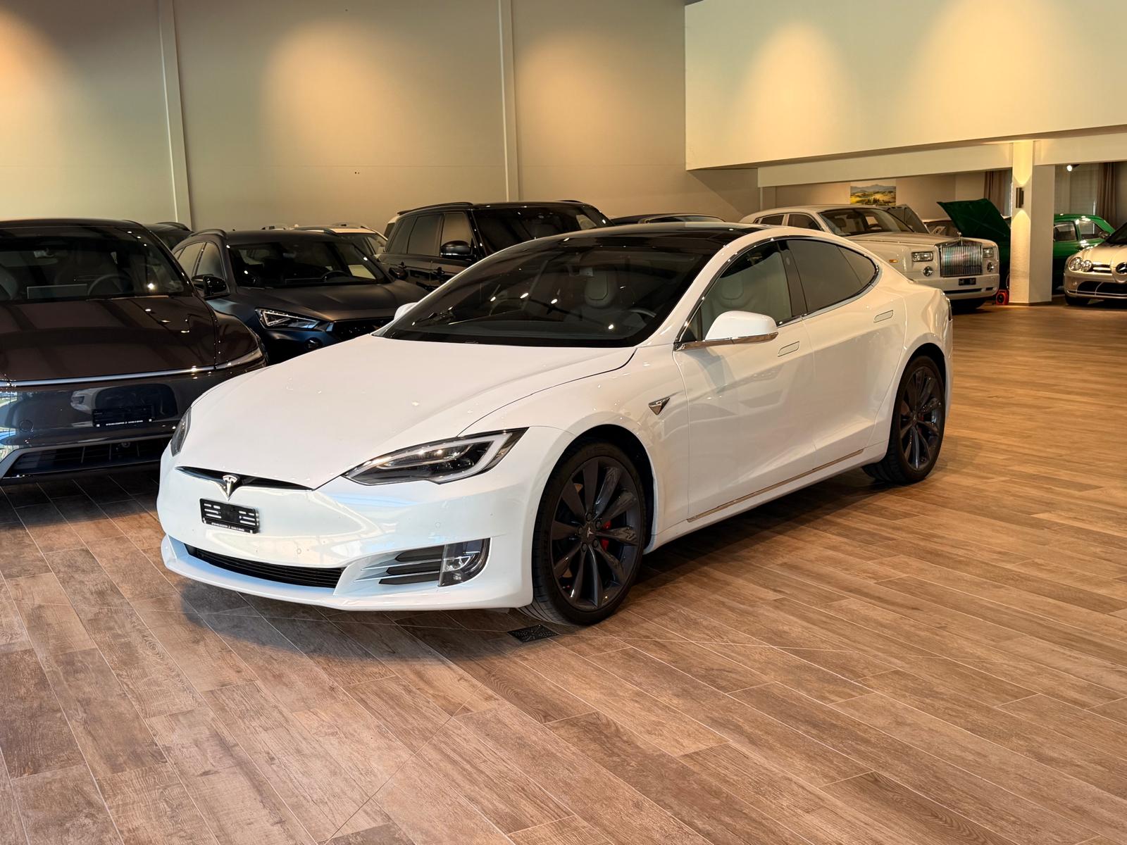 TESLA Model S 100 D Performance-image-0