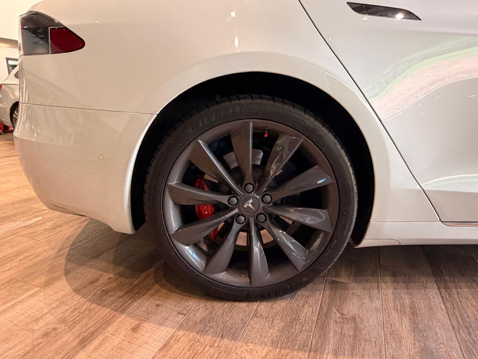 TESLA Model S 100 D Performance-image-3