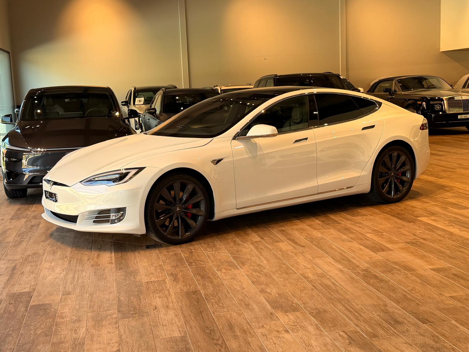 TESLA Model S 100 D Performance-image-1