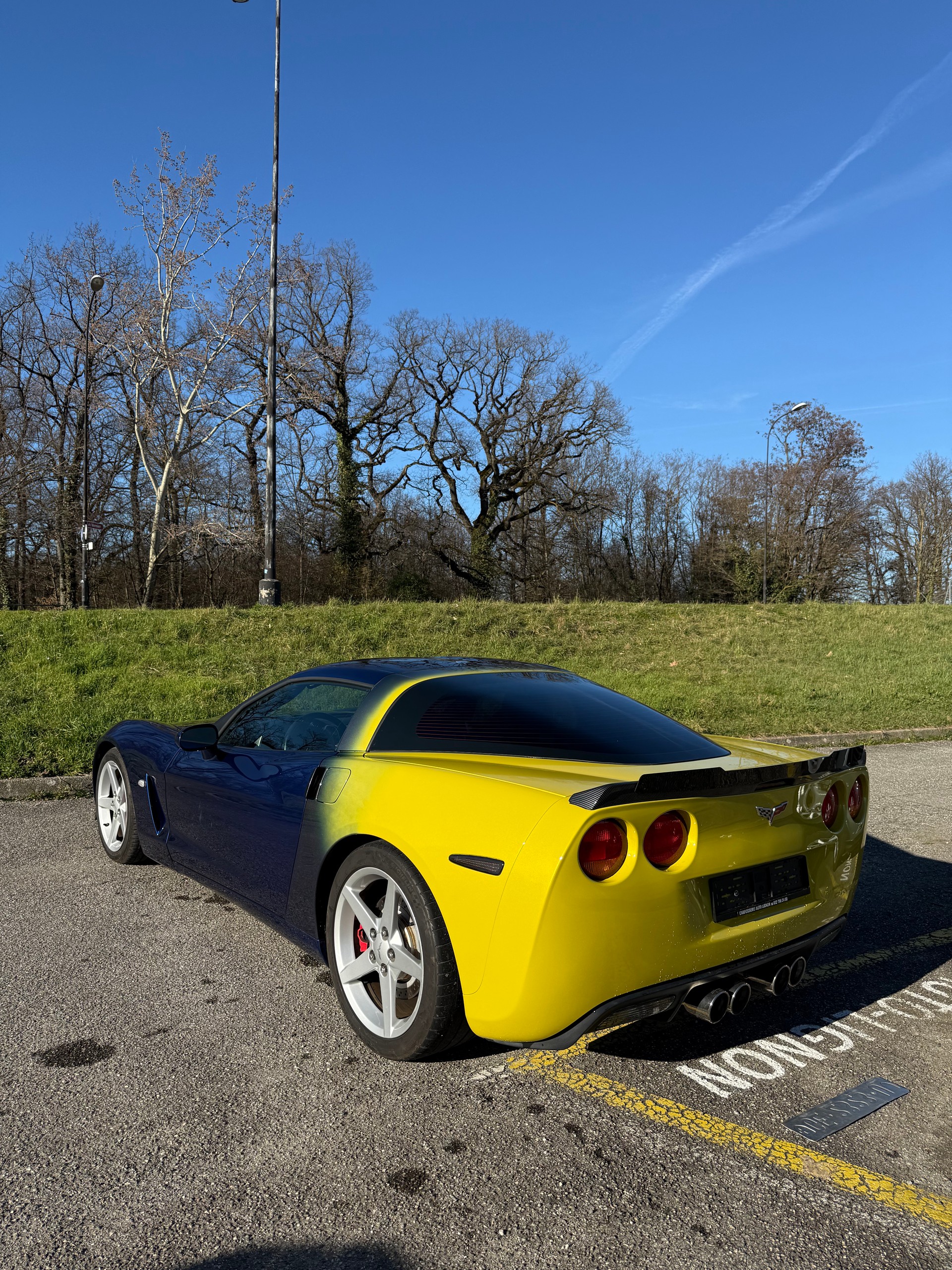 CHEVROLET Corvette 6.0-image-3