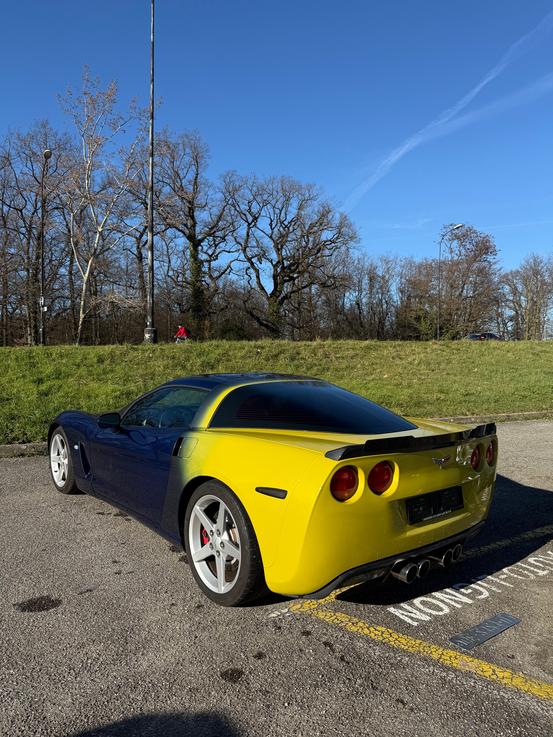 CHEVROLET Corvette 6.0-image-1