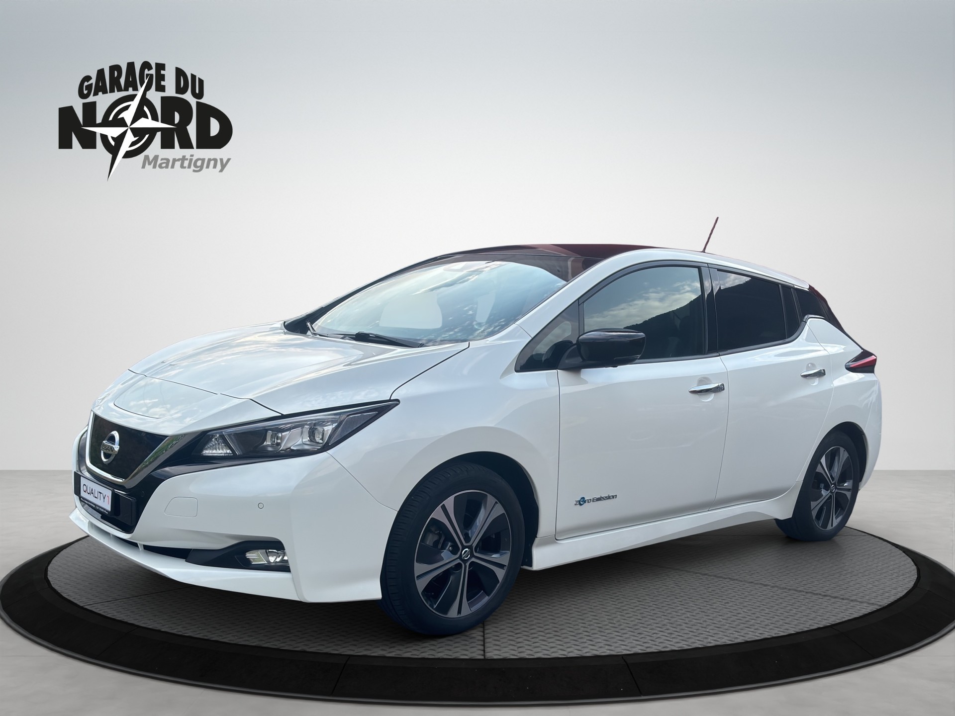 NISSAN Leaf Tekna(incl.battery)