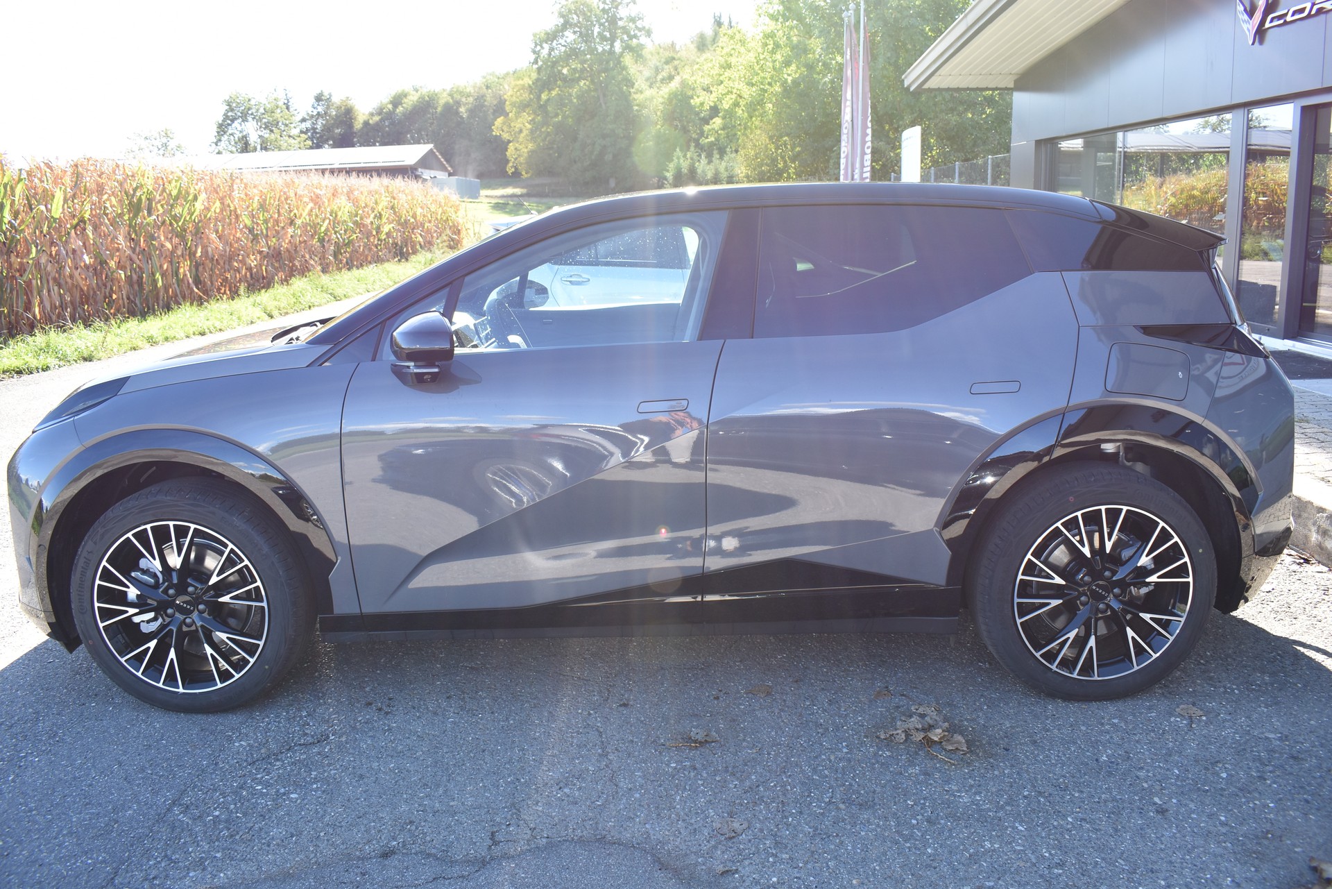 ZEEKR X 69kWh Privilege AWD-image-1