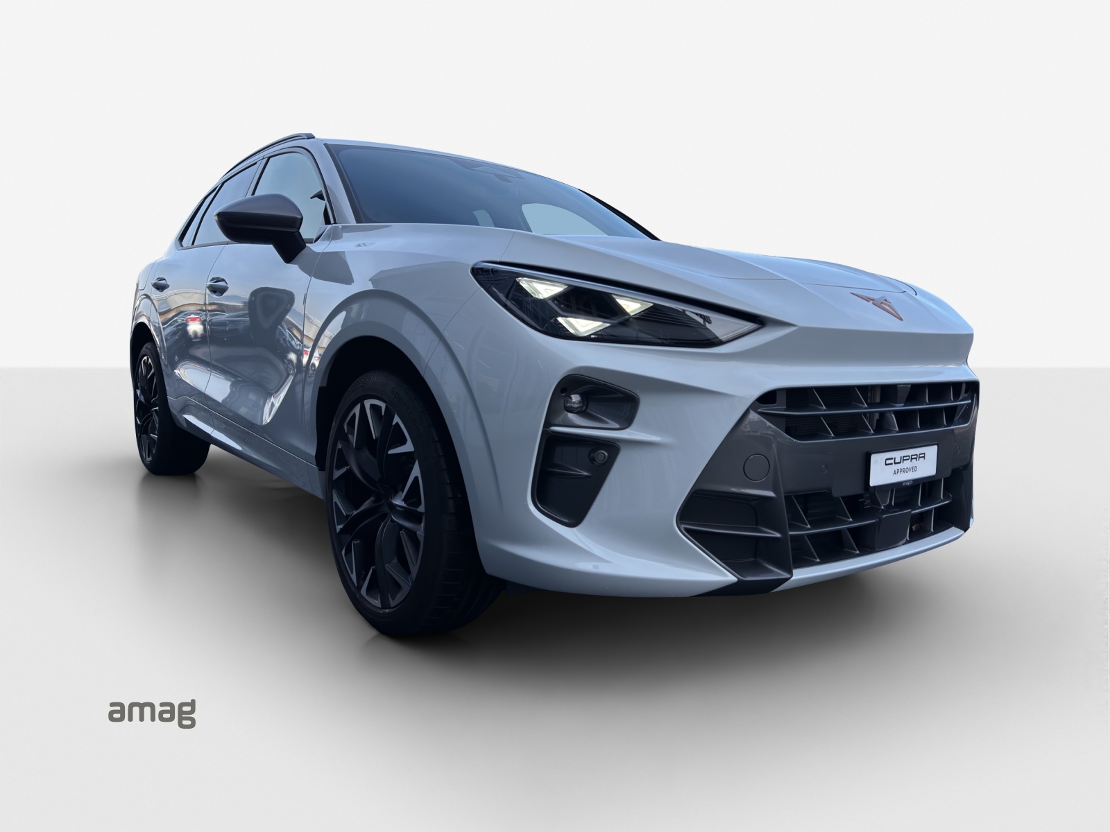 CUPRA Terramar 2.0 TSI DSG 4Drive VZ-image-5