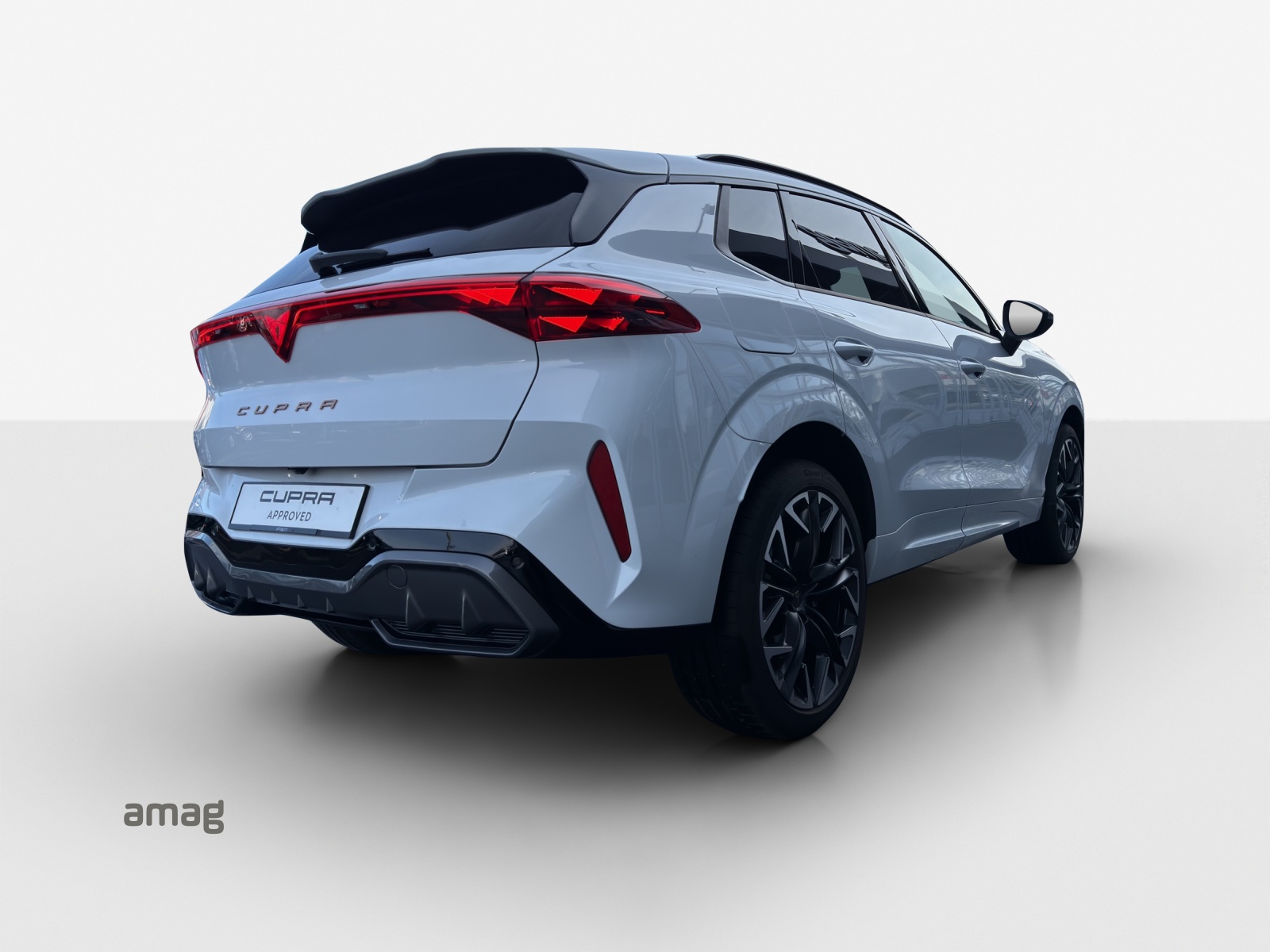 CUPRA Terramar 2.0 TSI DSG 4Drive VZ-image-4