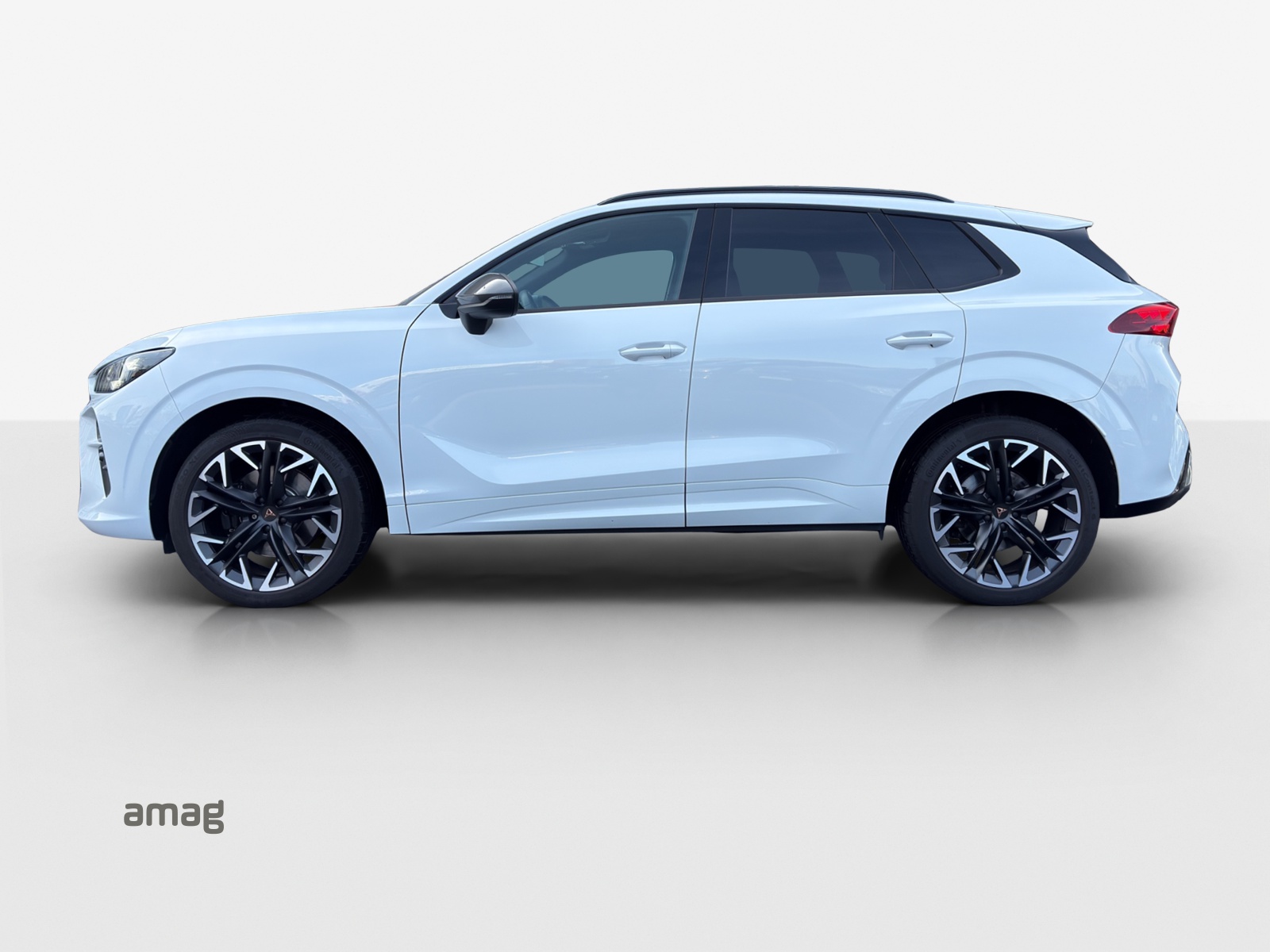 CUPRA Terramar 2.0 TSI DSG 4Drive VZ-image-1