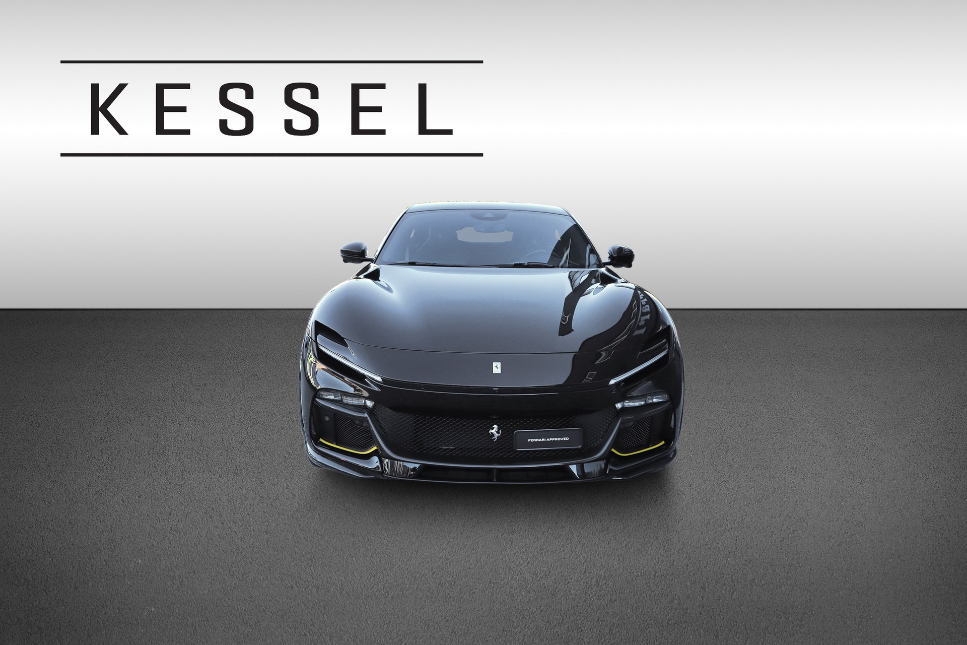 FERRARI PUROSANGUE-image-1