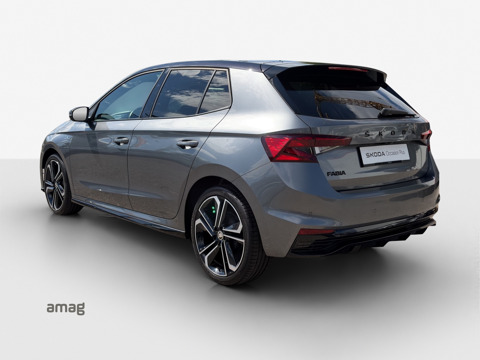 SKODA Fabia 1.0 TSI Monte Carlo DSG-image-2