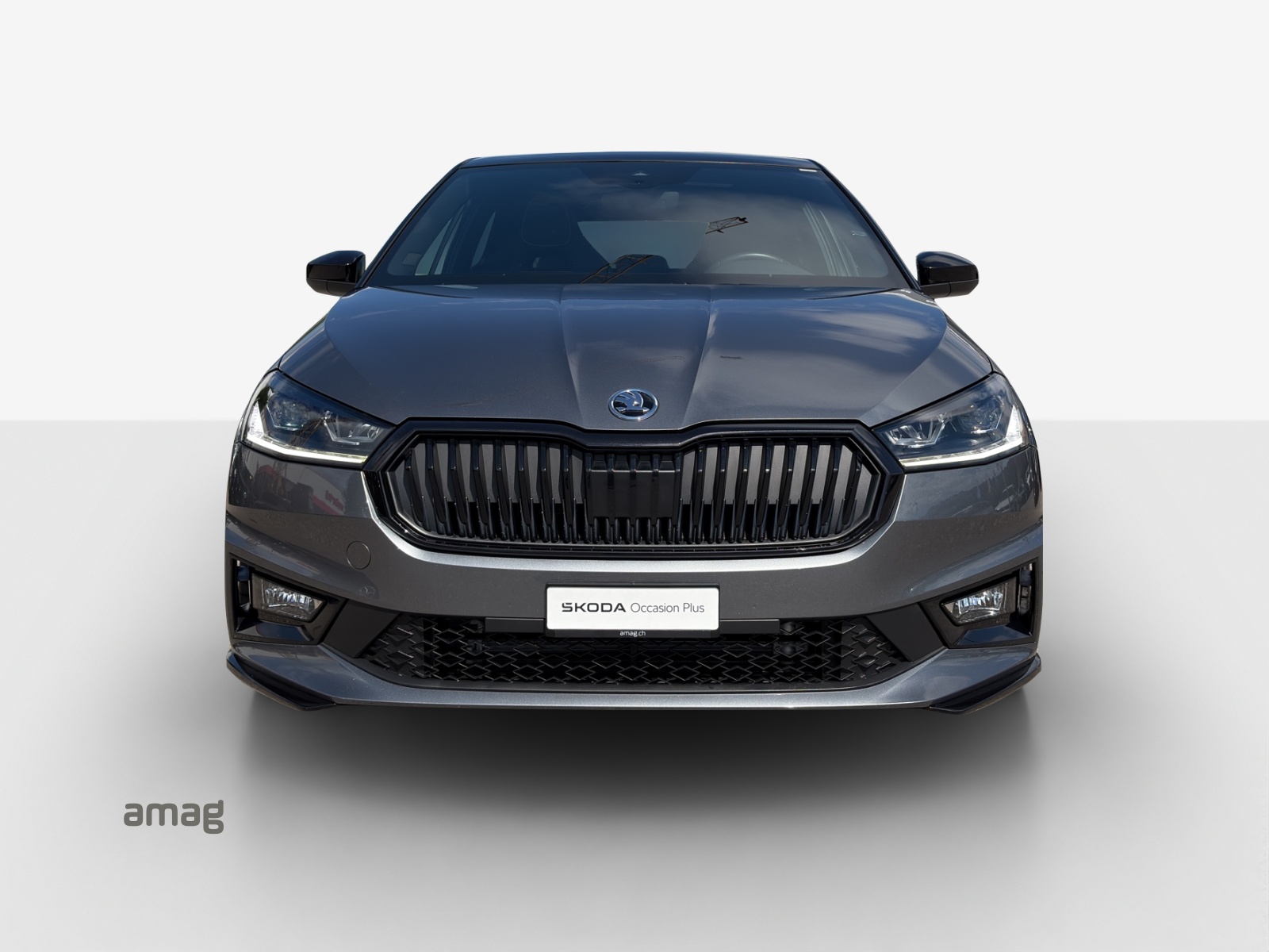 SKODA Fabia 1.0 TSI Monte Carlo DSG-image-6