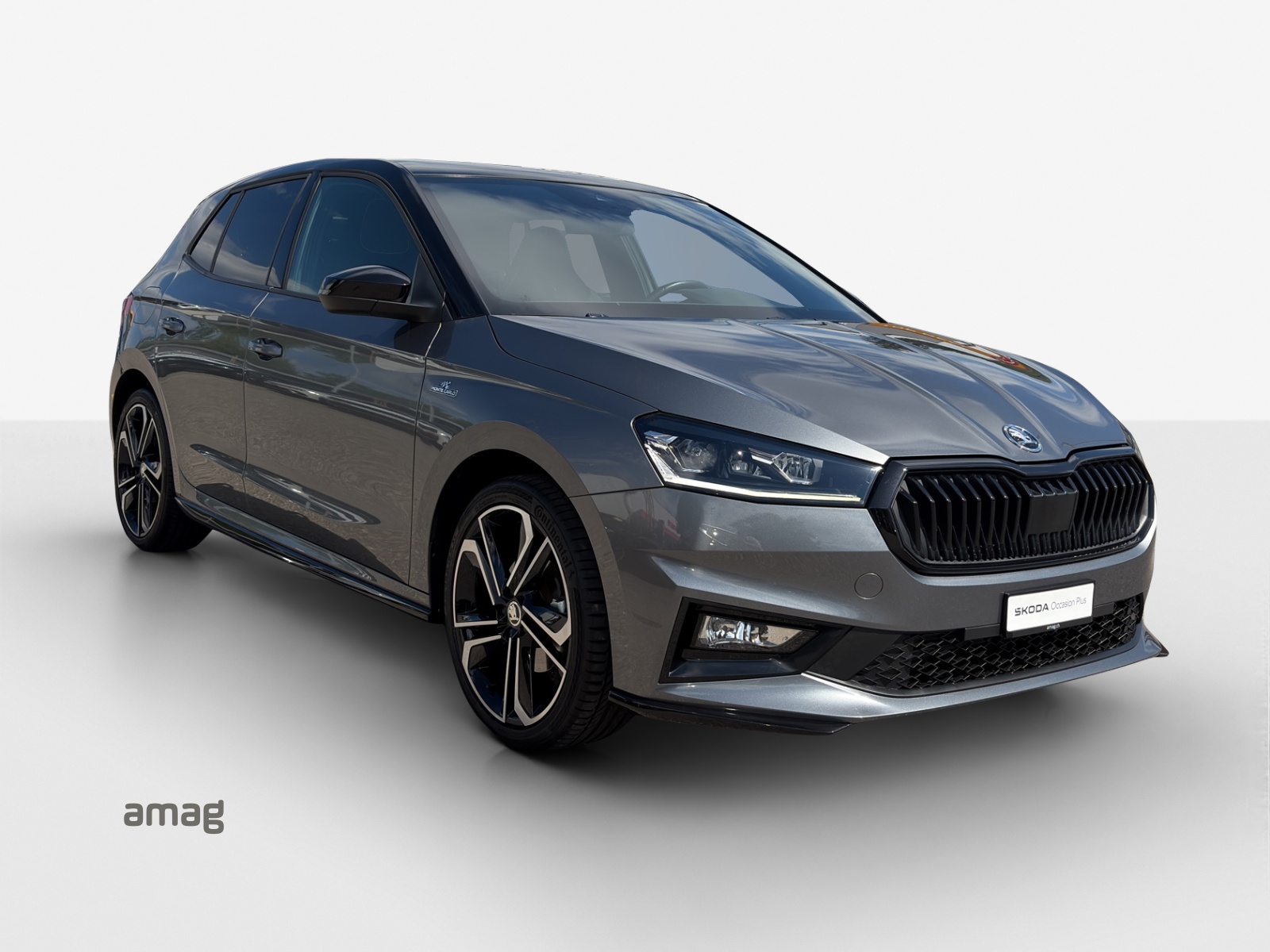 SKODA Fabia 1.0 TSI Monte Carlo DSG-image-5