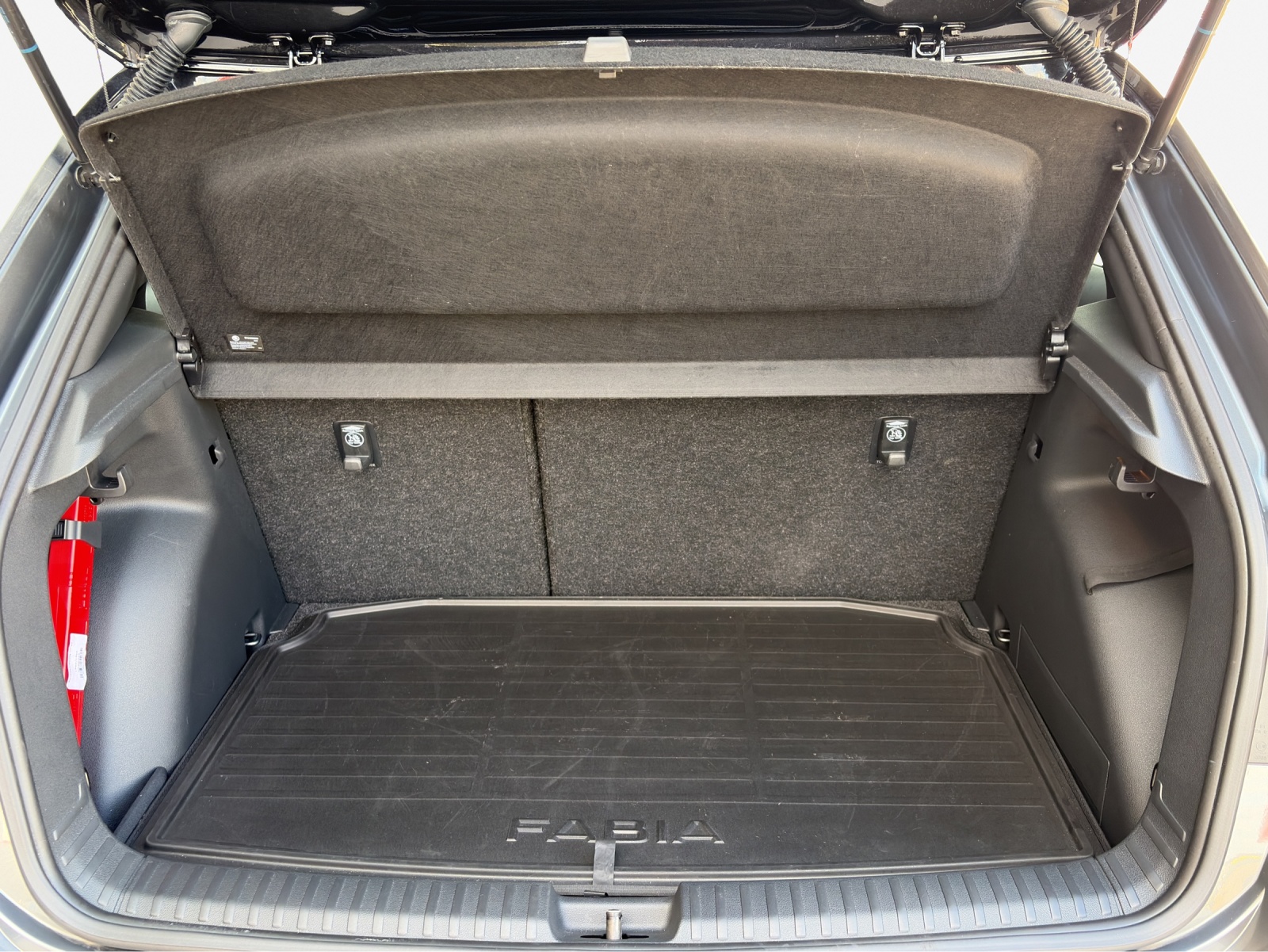 SKODA Fabia 1.0 TSI Monte Carlo DSG-image-12